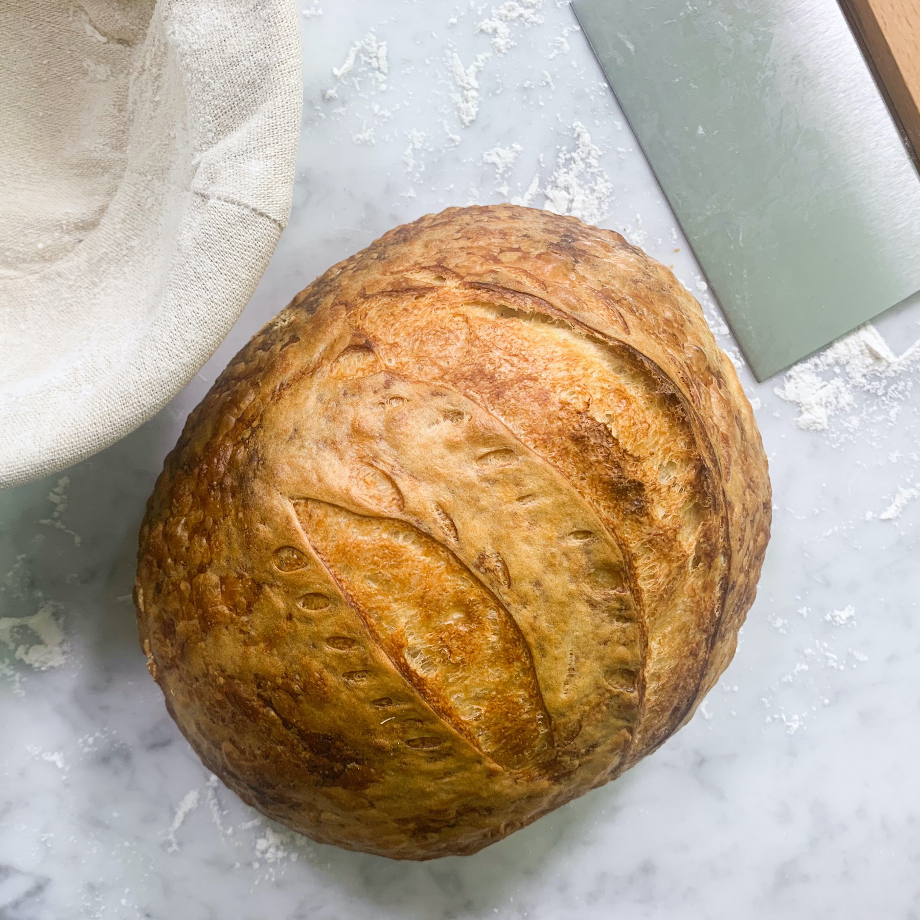 Picture of FarmSteady Sourdough Bread Winner Kit - Black
