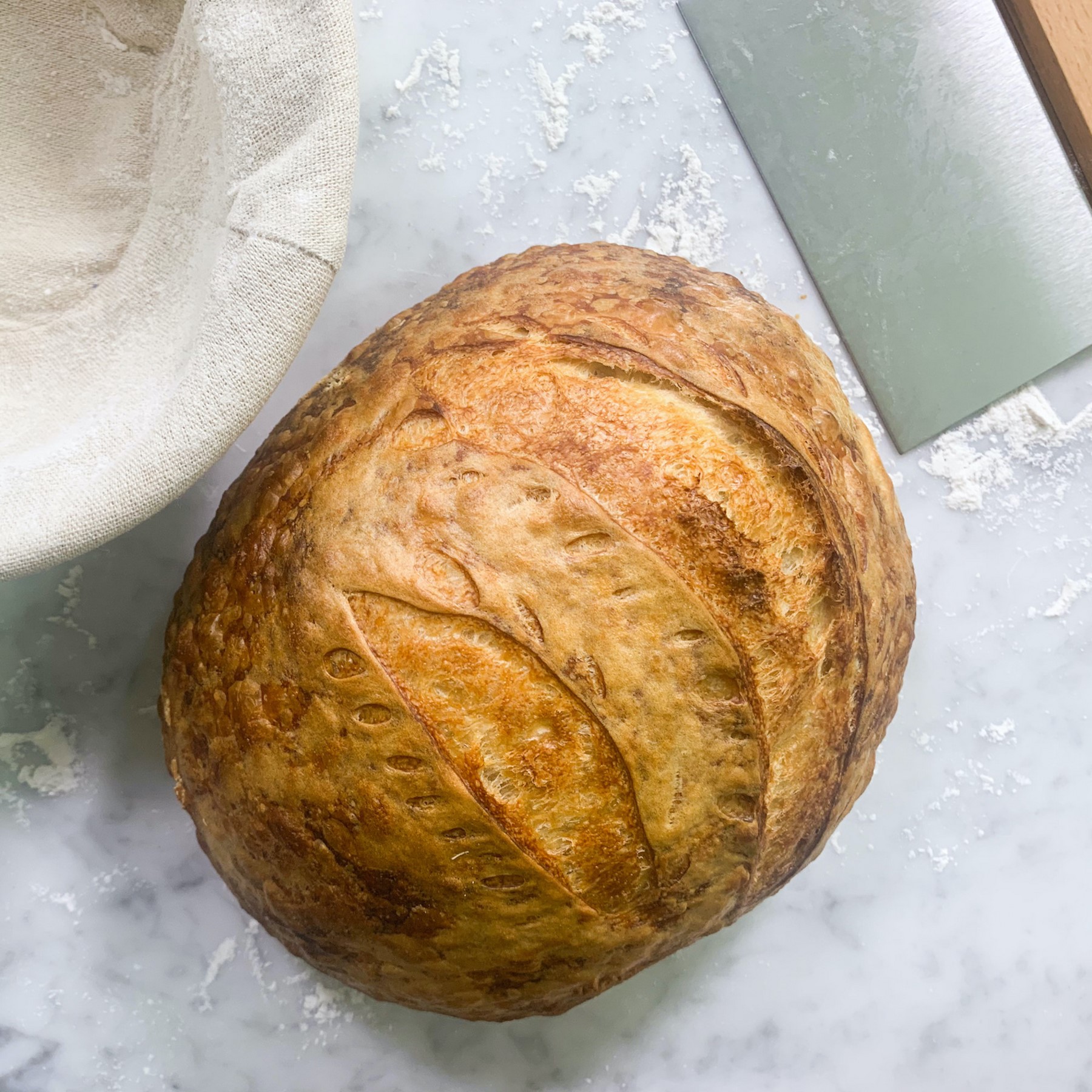 Picture of FarmSteady Sourdough Bread Winner Kit - Black