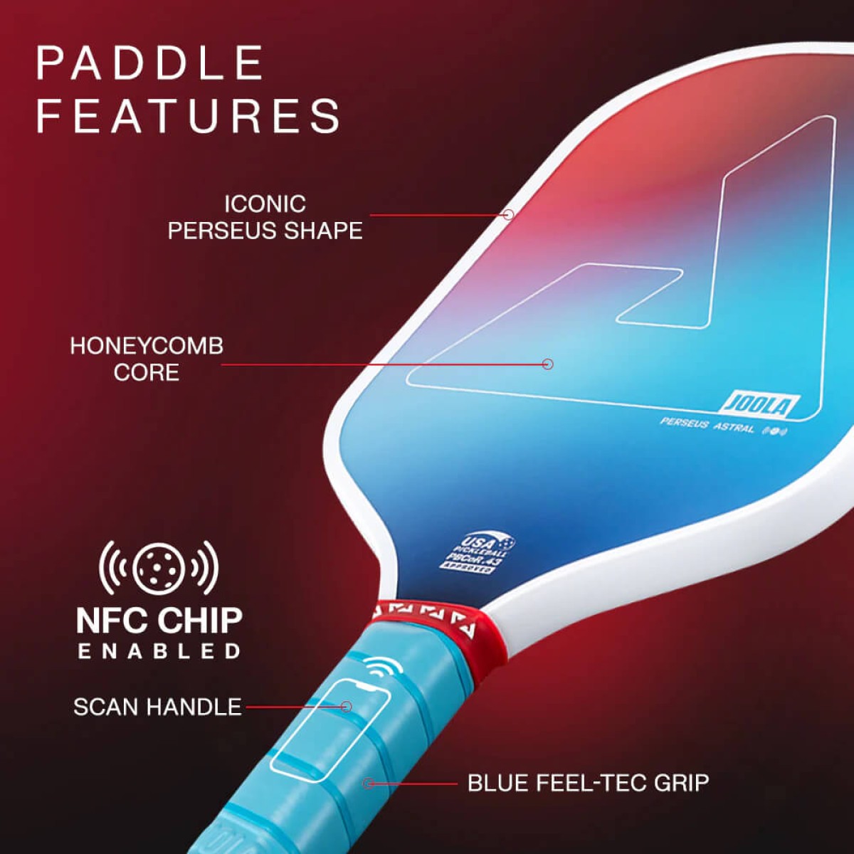 Picture of Joola Astral Pickleball Pack