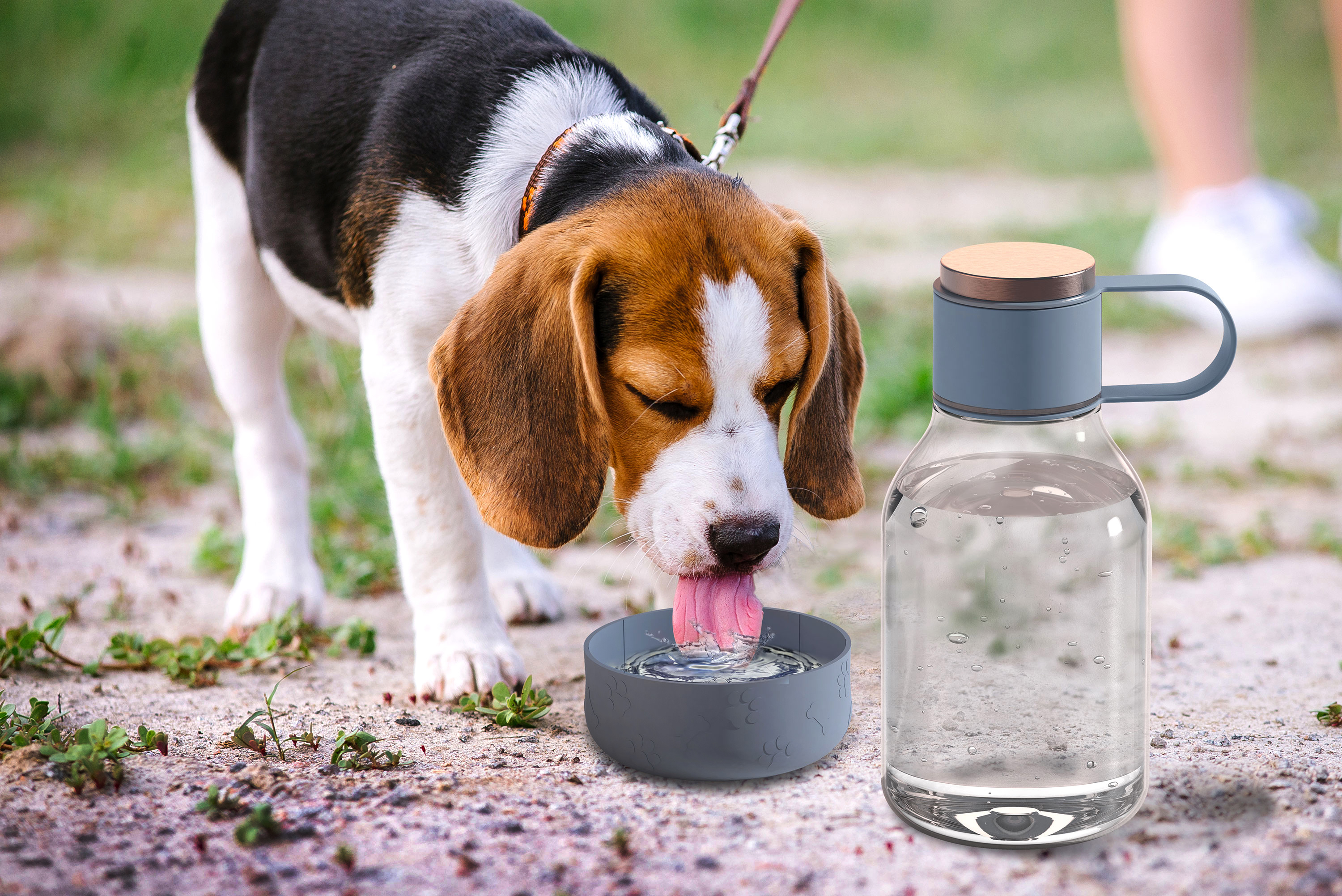 Picture of 50 oz Asobu Dog Bowl Bottle Lite
