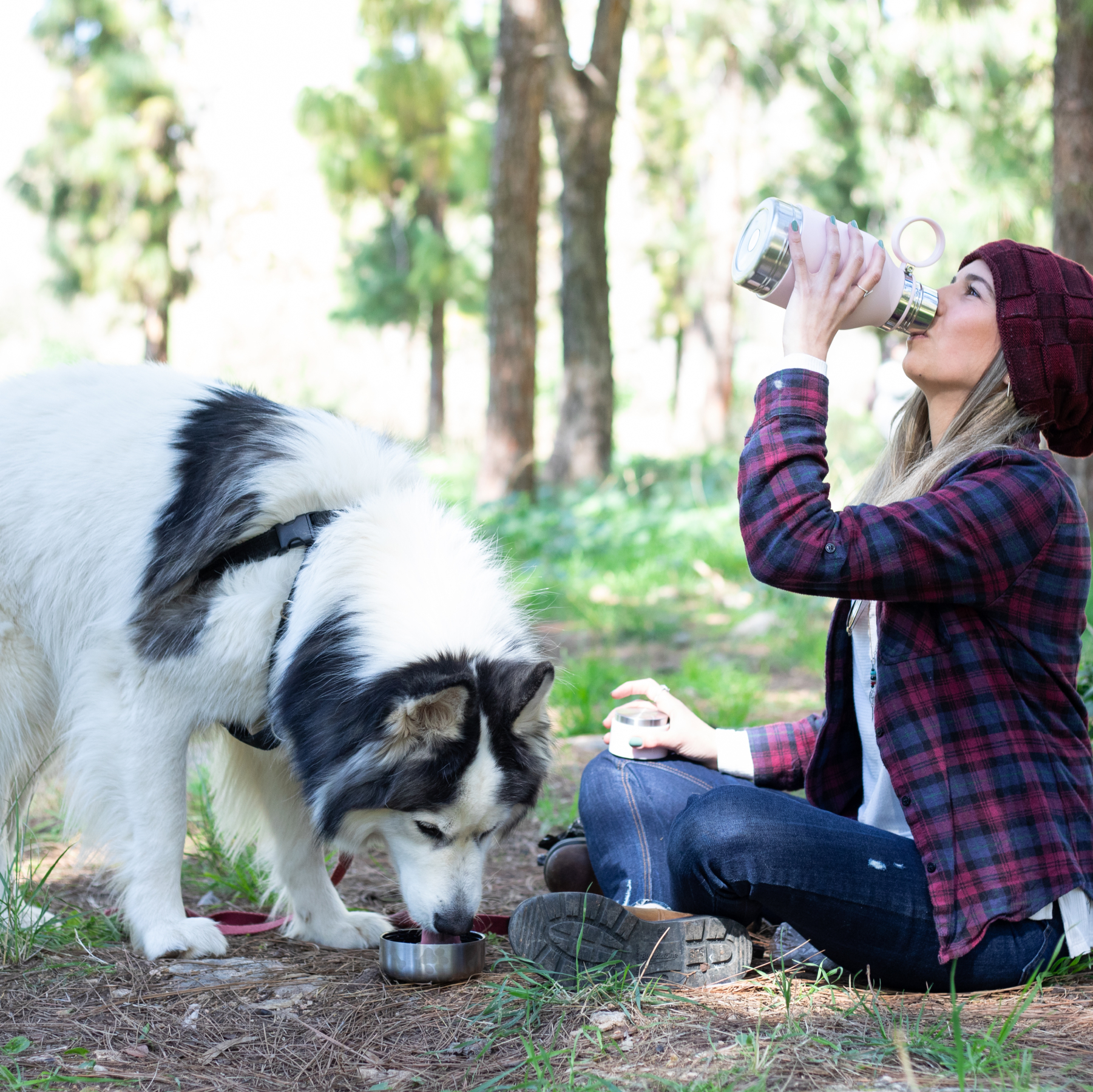 Picture of 33 oz Asobu Dog Bowl Bottle