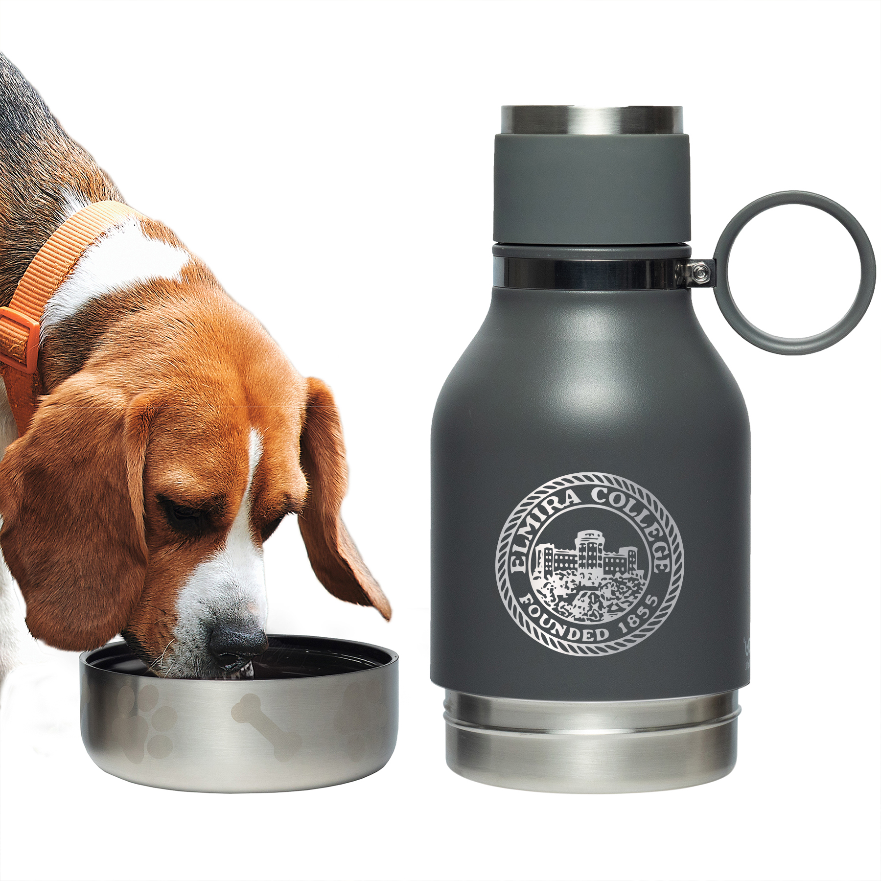 Picture of 33 oz Asobu Dog Bowl Bottle