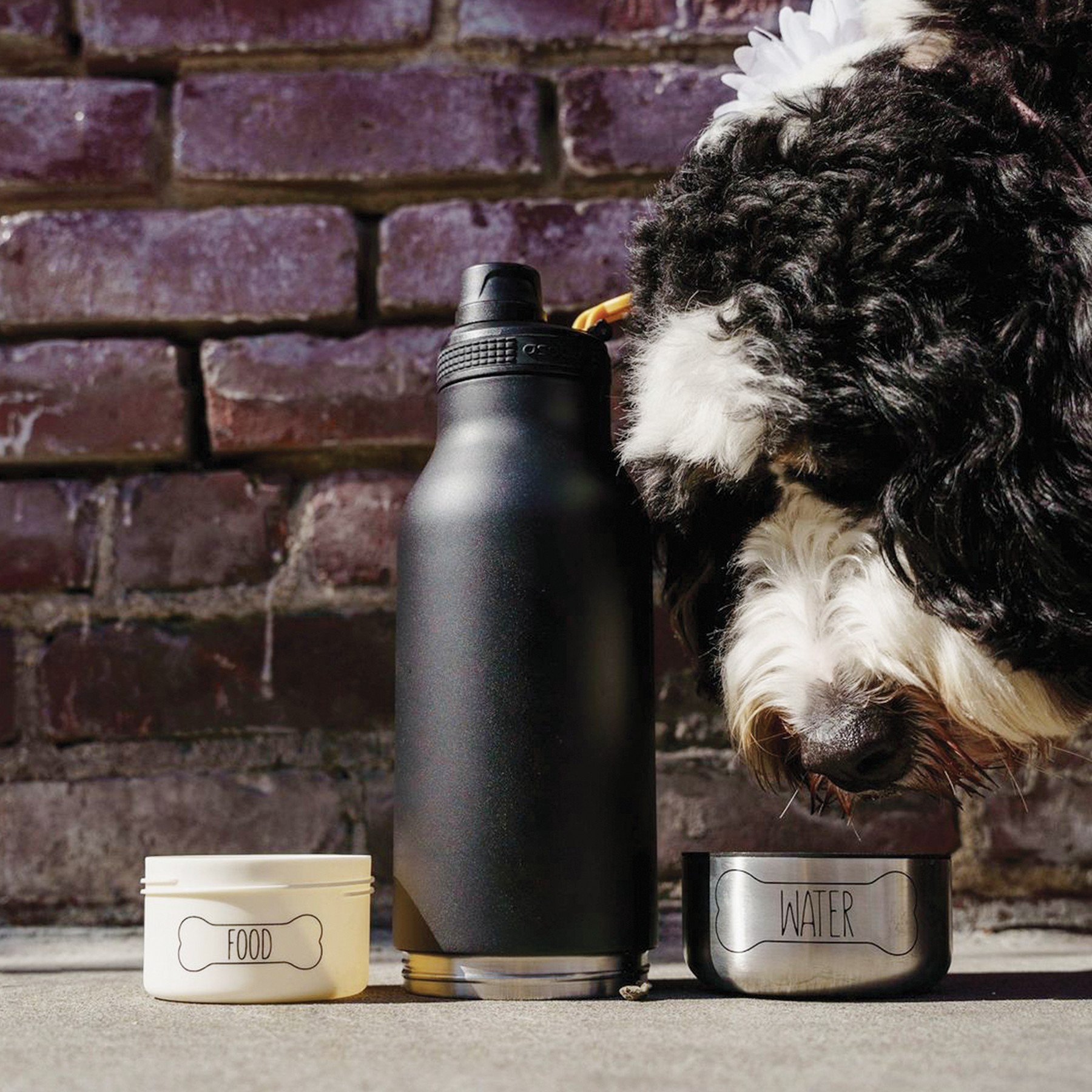Picture of 34 oz Asobu Barky Water Bottle
