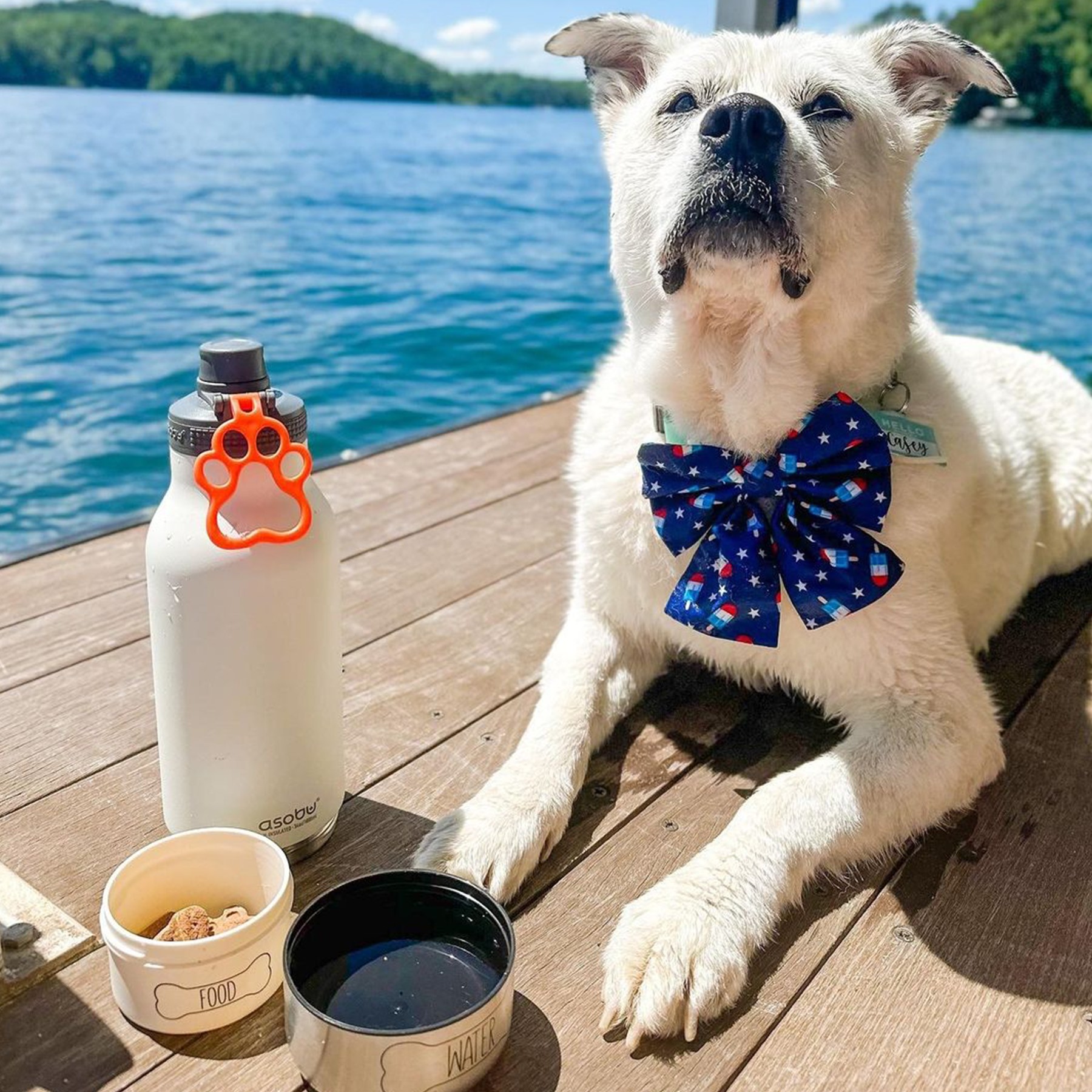 Picture of 34 oz Asobu Barky Water Bottle