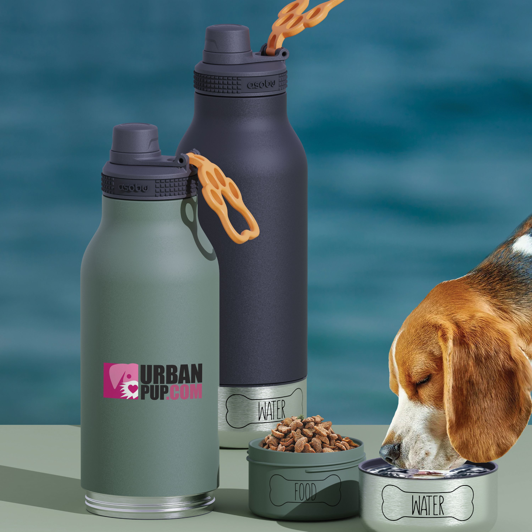 Picture of 34 oz Asobu Barky Water Bottle