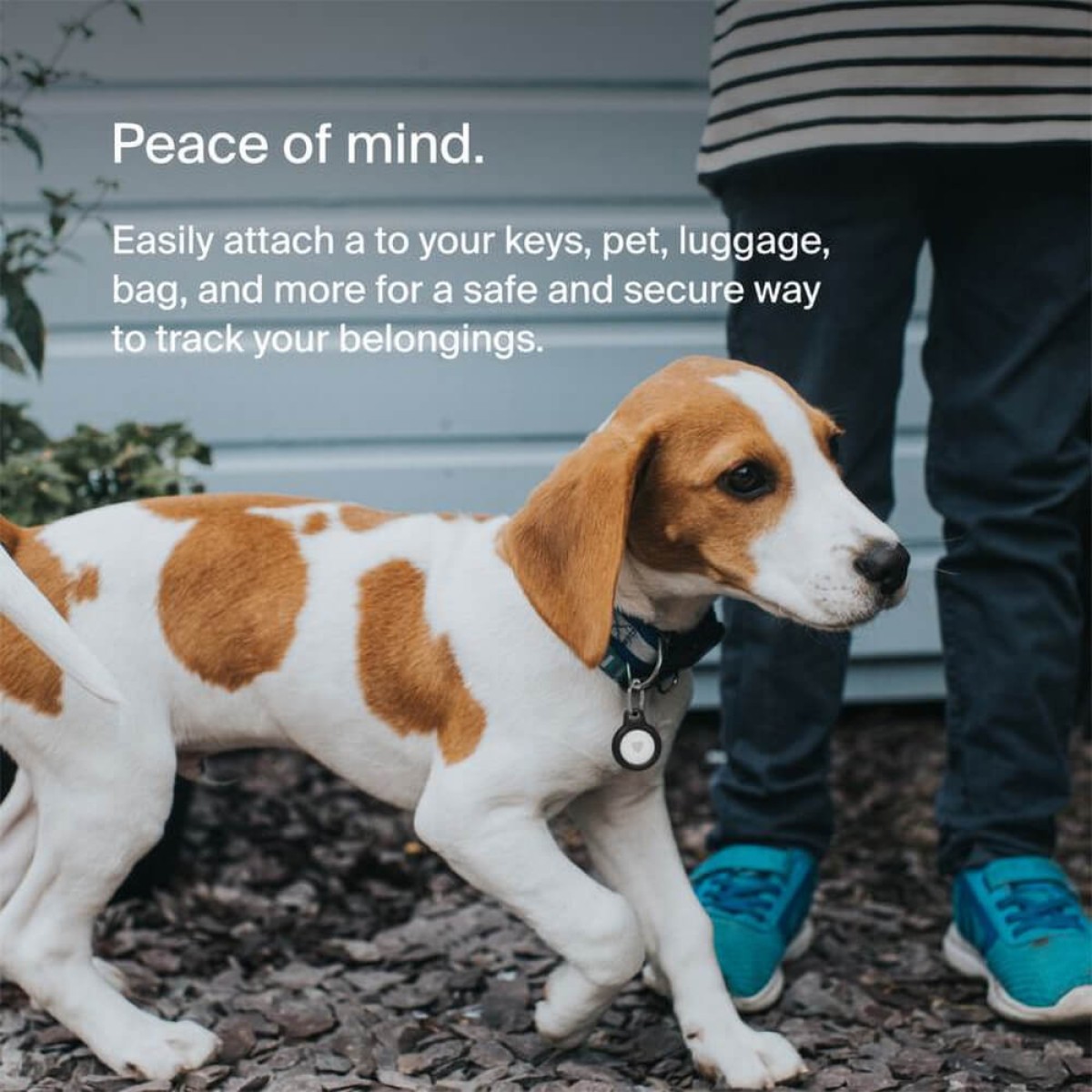 Picture of Belkin Secure Holder with Key Ring for Air Tag