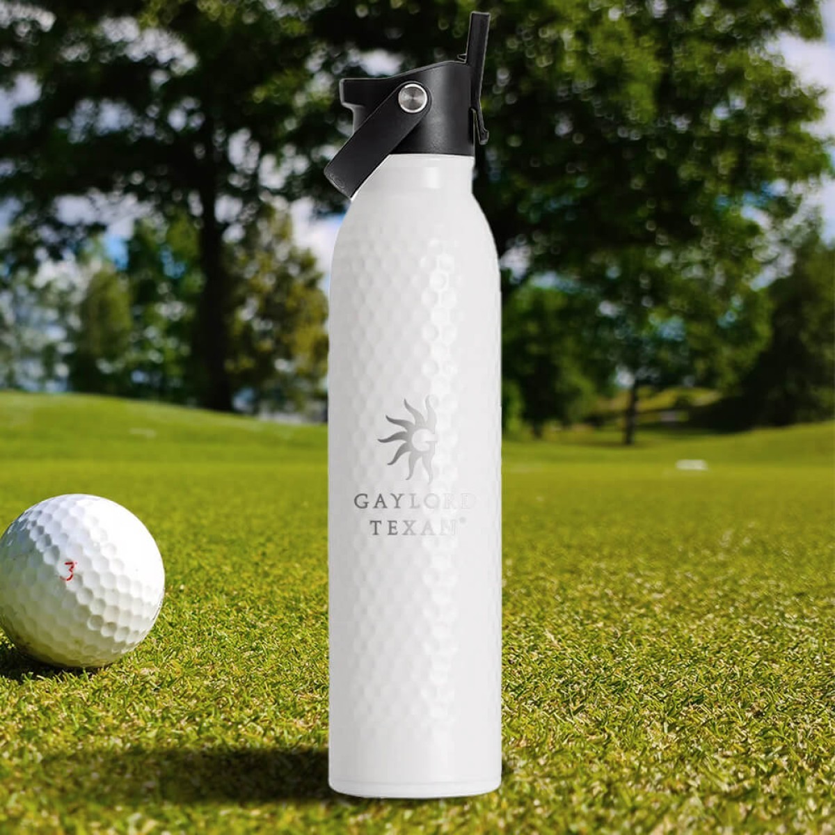 Picture of Swig 20oz Golf Partee Flip + Sip Water Bottle
