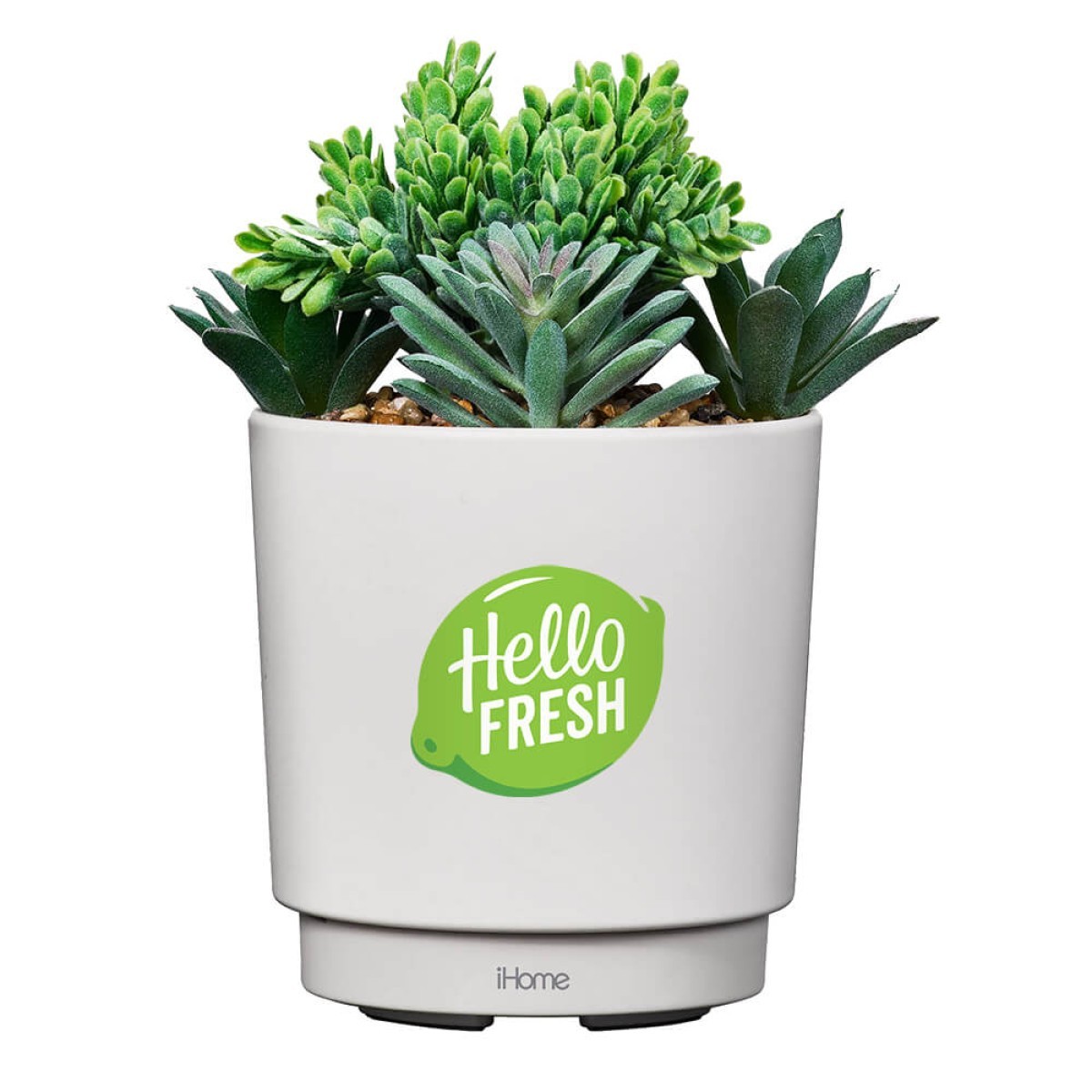 Picture of iHome PowerPlant USB Charging Station, Faux Succulent with USB Charger