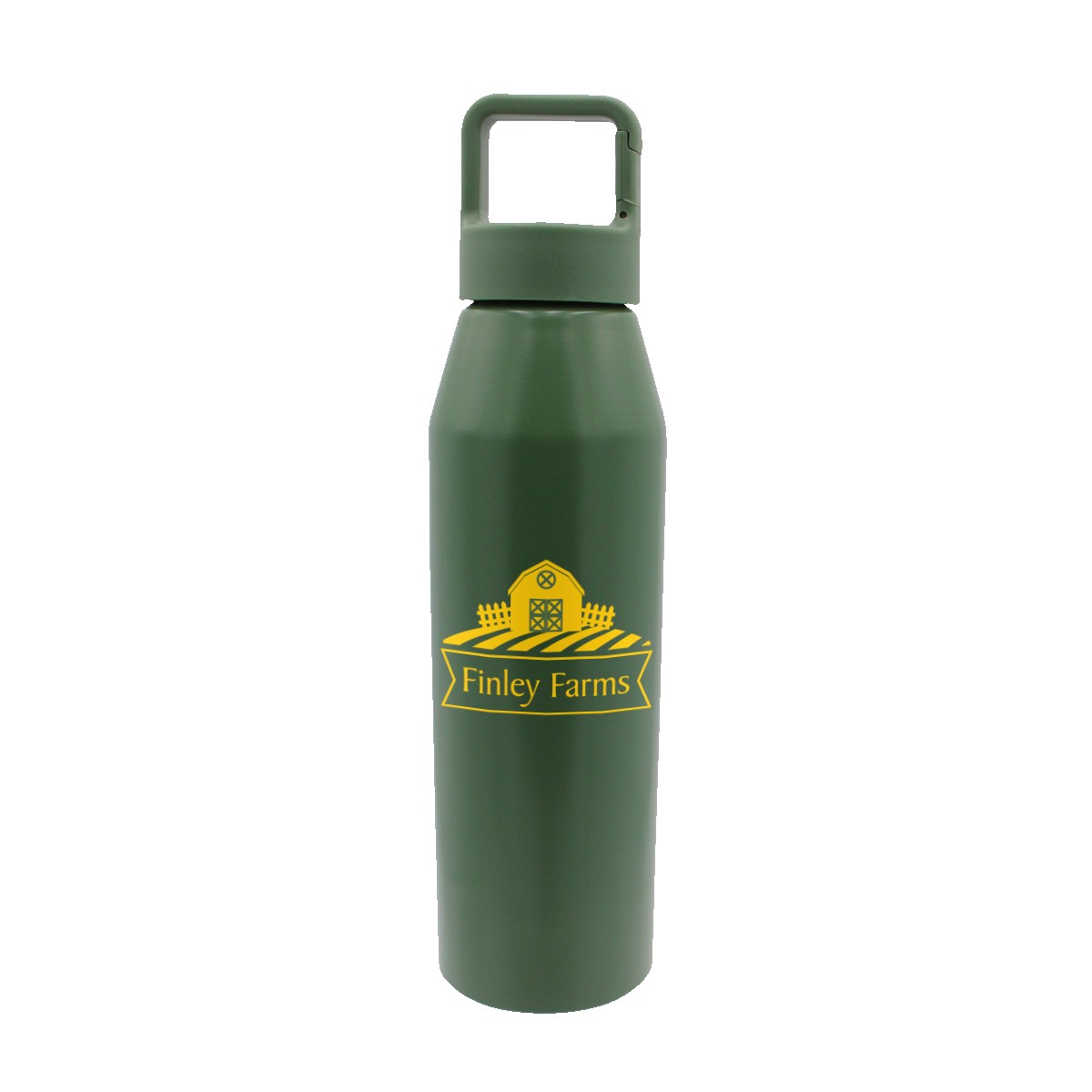 Picture of 25 oz. Recycled Aluminum Bottle with Carabiner Lid