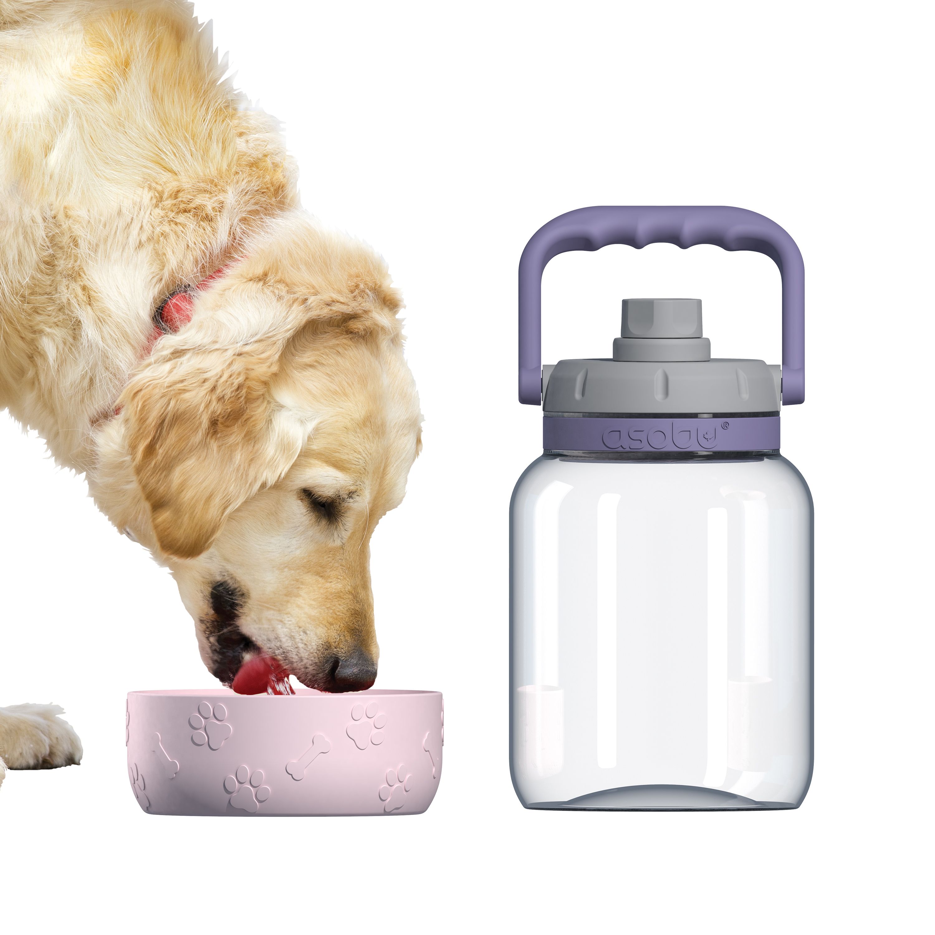 Picture of 50 oz Asobu The Barkley Jug with Bowl