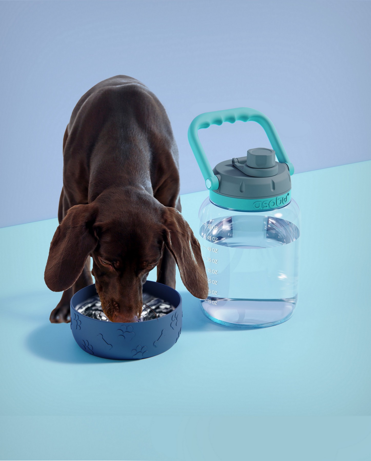 Picture of 50 oz Asobu The Barkley Jug with Bowl