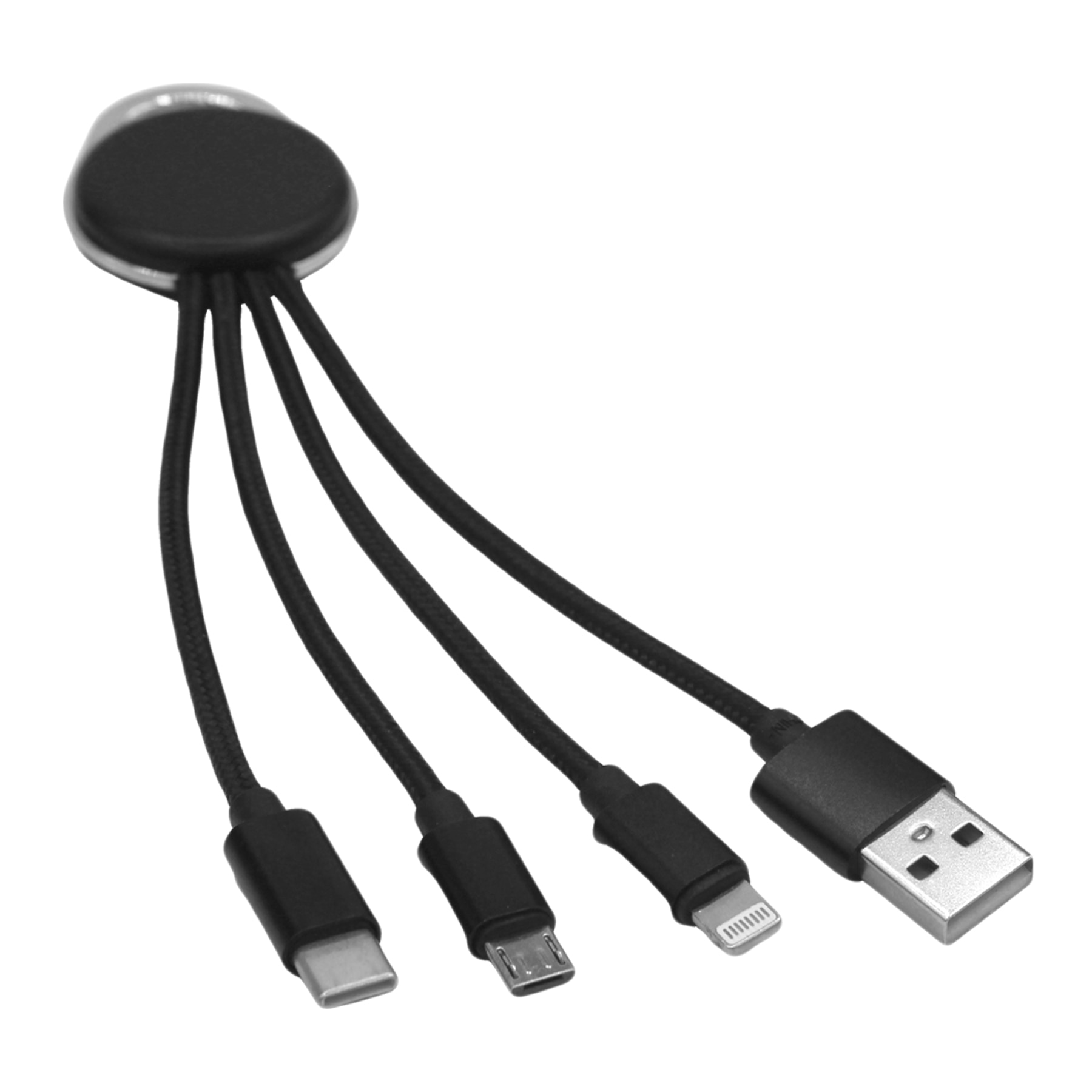 Picture of iMulti Cable Keyring