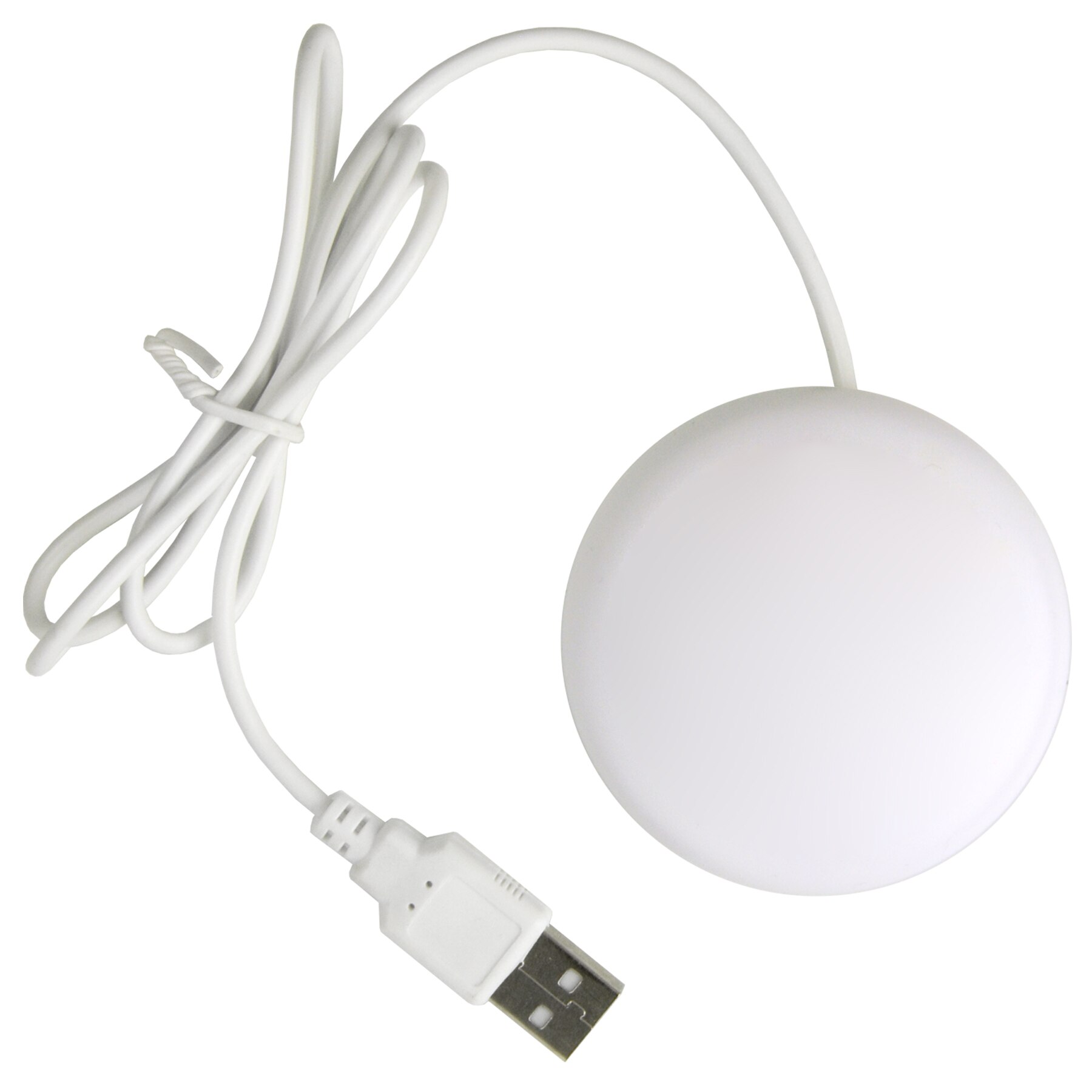 Picture of iButton Webkey