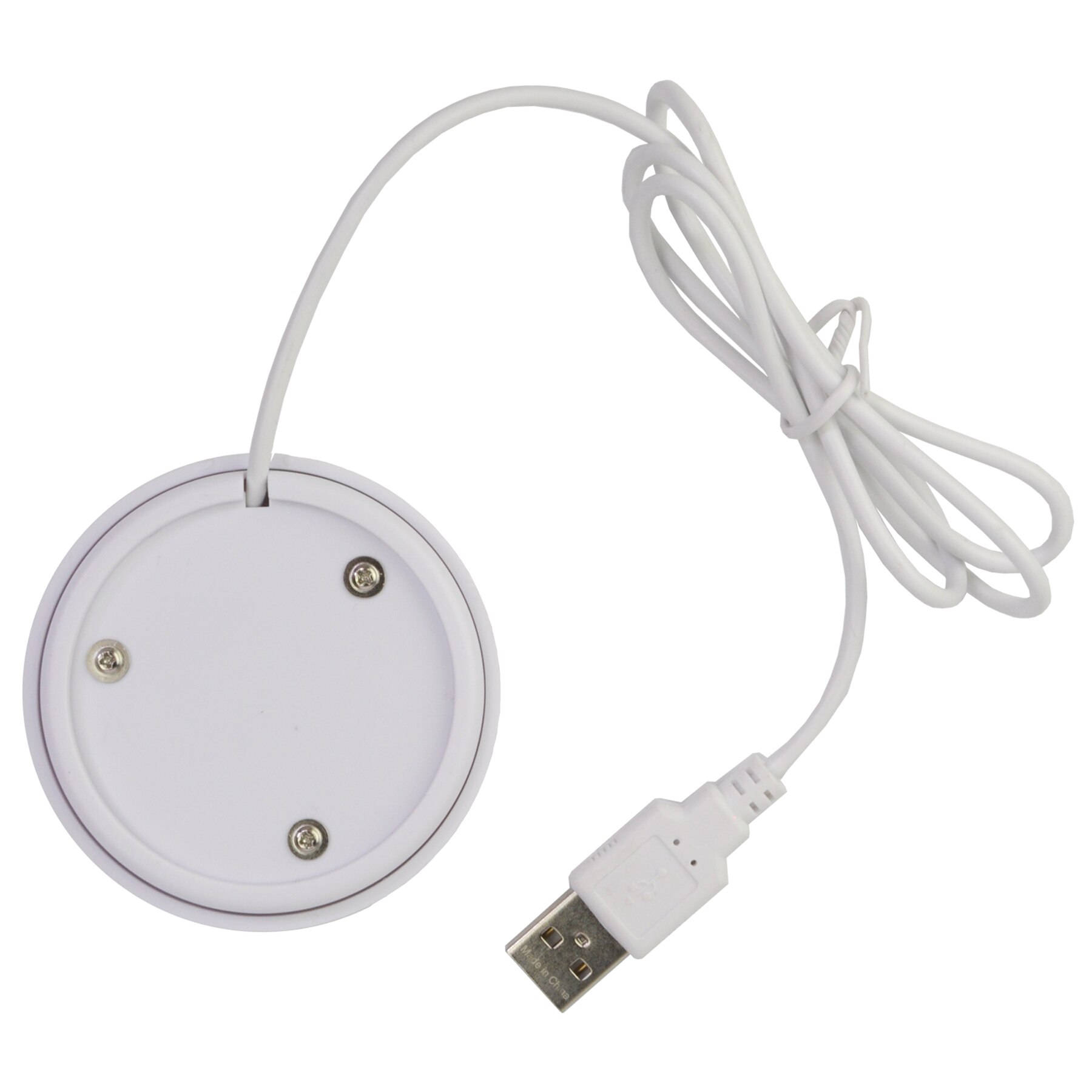 Picture of iButton Webkey