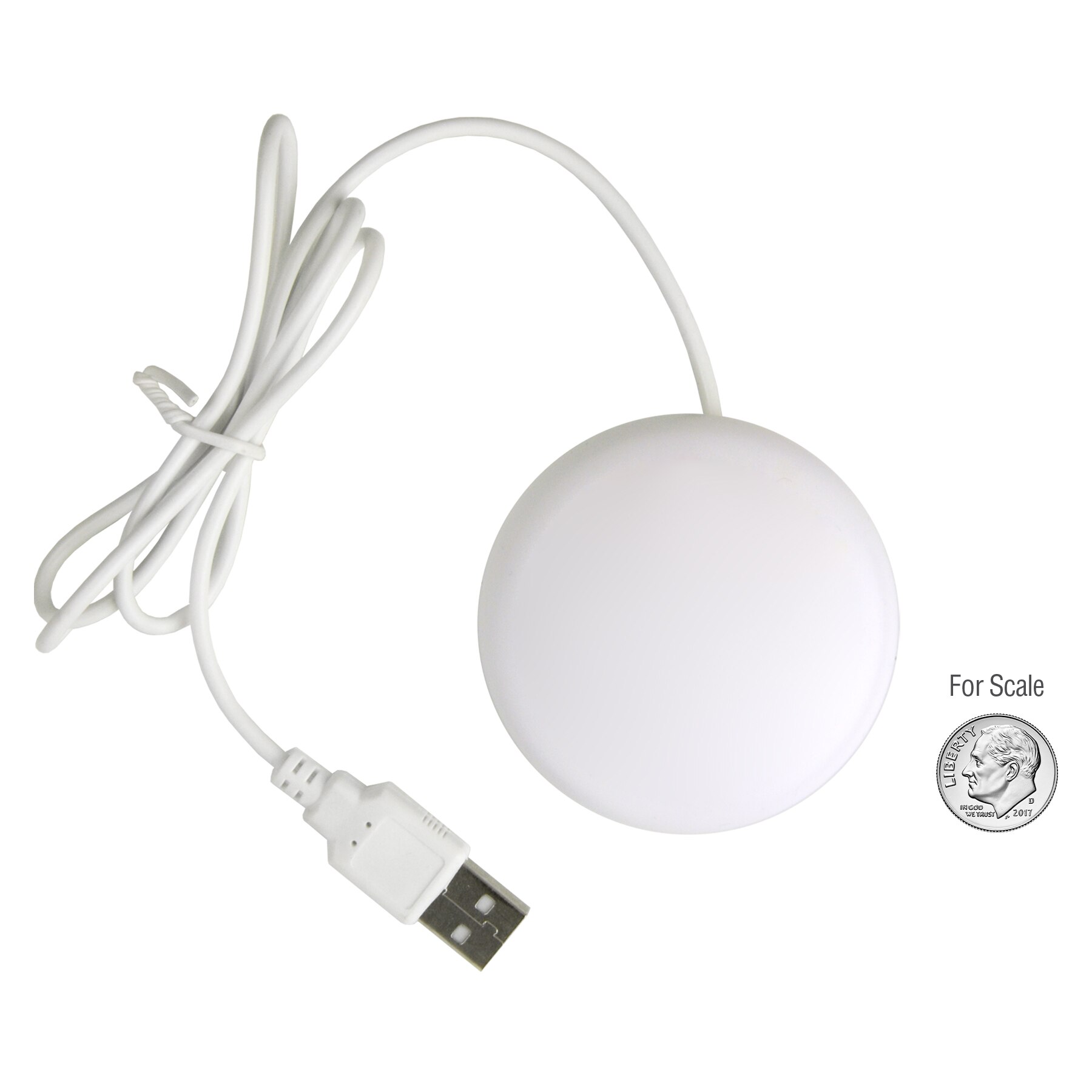 Picture of iButton Webkey