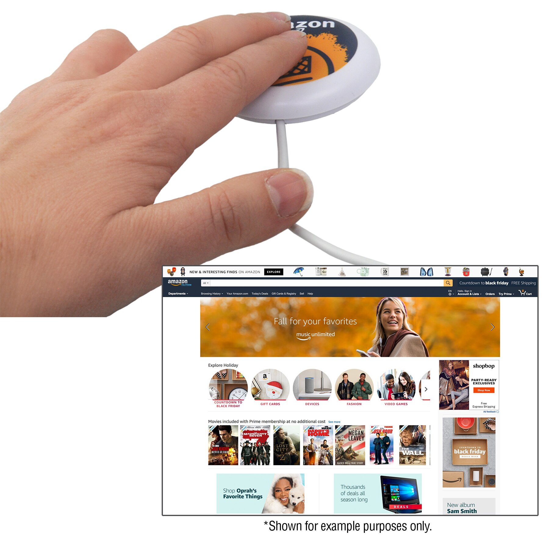 Picture of iButton Webkey