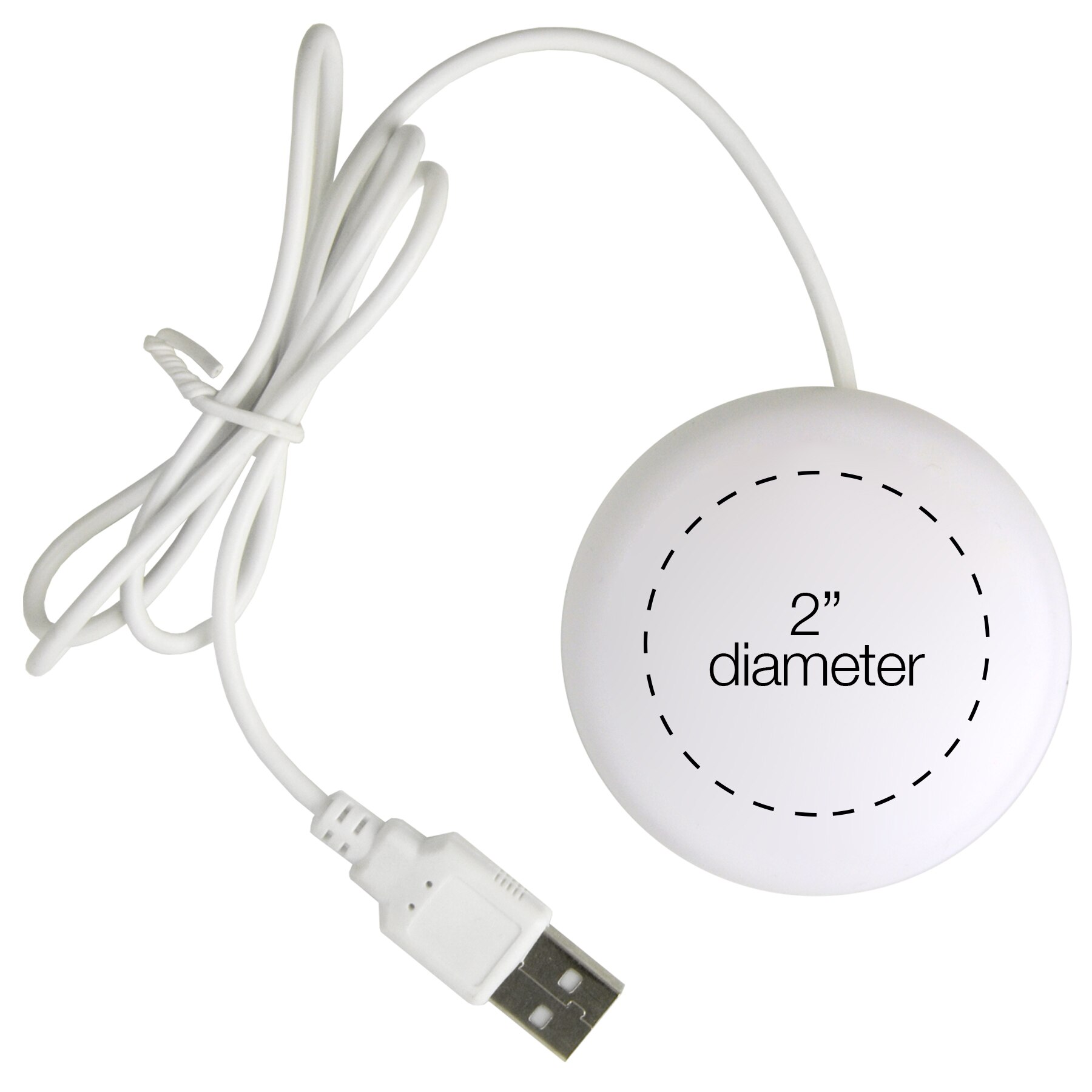 Picture of iButton Webkey