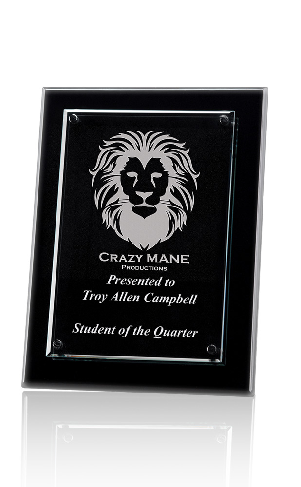 Picture of Medium Olgebay Award Plaque