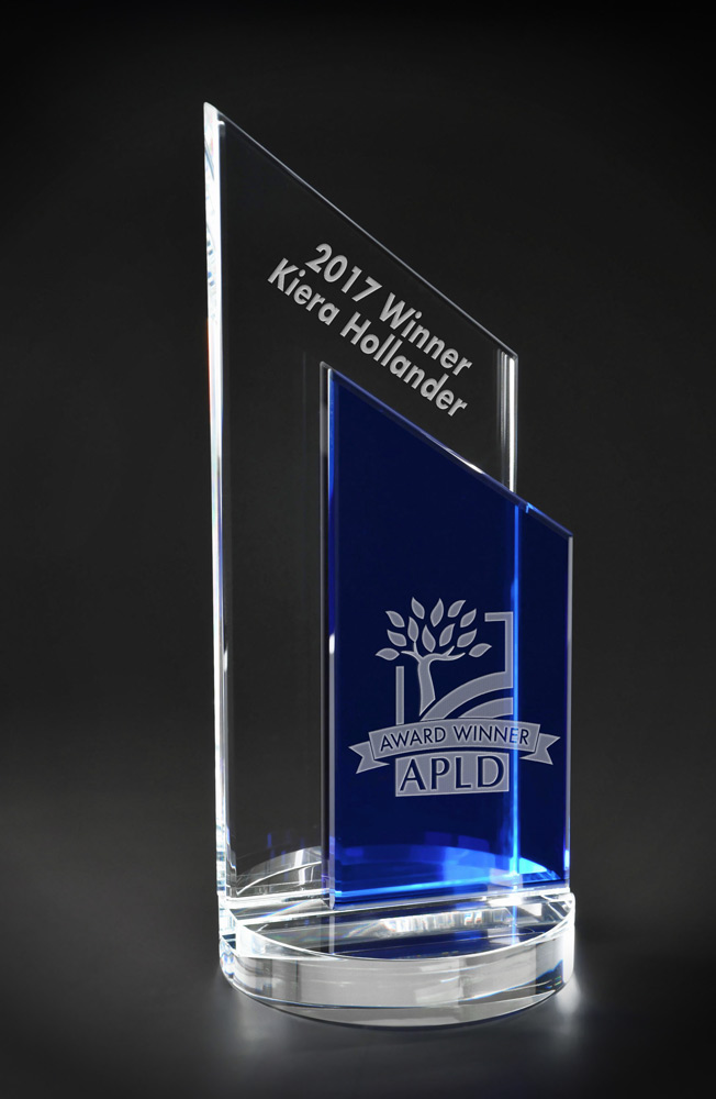 Picture of Harmony Optical Crystal Award
