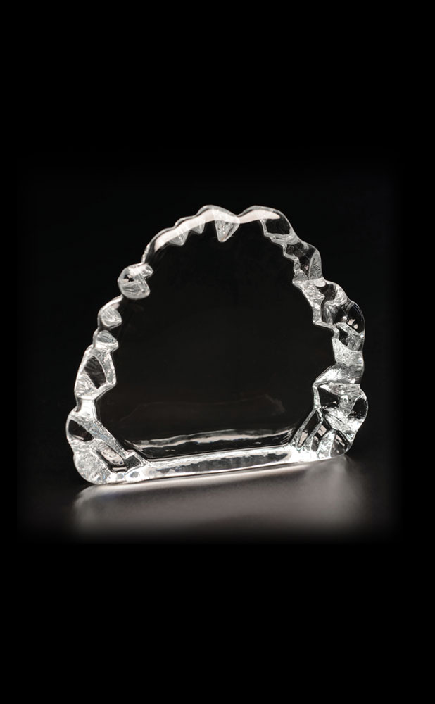 Picture of Small Iceberg Award