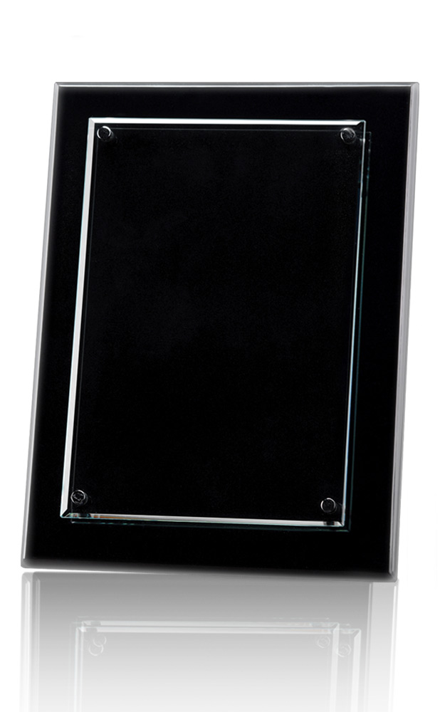 Picture of Large Olgebay Award Plaque