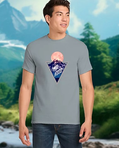 Picture of POD Gildan Heavy Cotton T-Shirt Full Color DTG