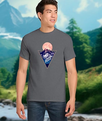 Picture of POD Gildan Heavy Cotton T-Shirt Full Color DTG