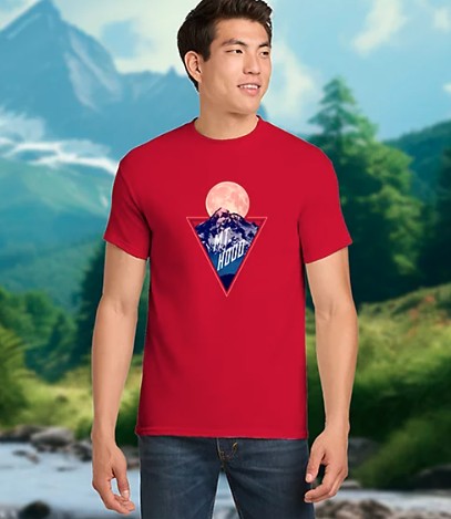 Picture of POD Gildan Heavy Cotton T-Shirt Full Color DTG
