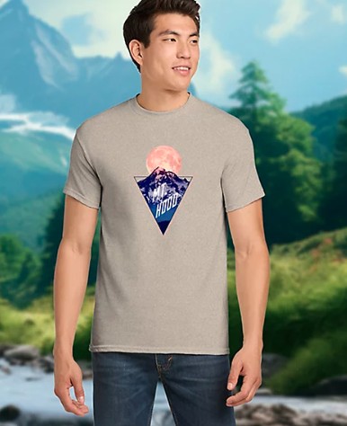Picture of POD Gildan Heavy Cotton T-Shirt Full Color DTG