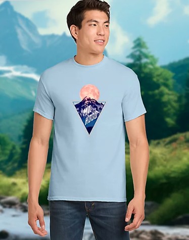 Picture of POD Gildan Heavy Cotton T-Shirt Full Color DTG
