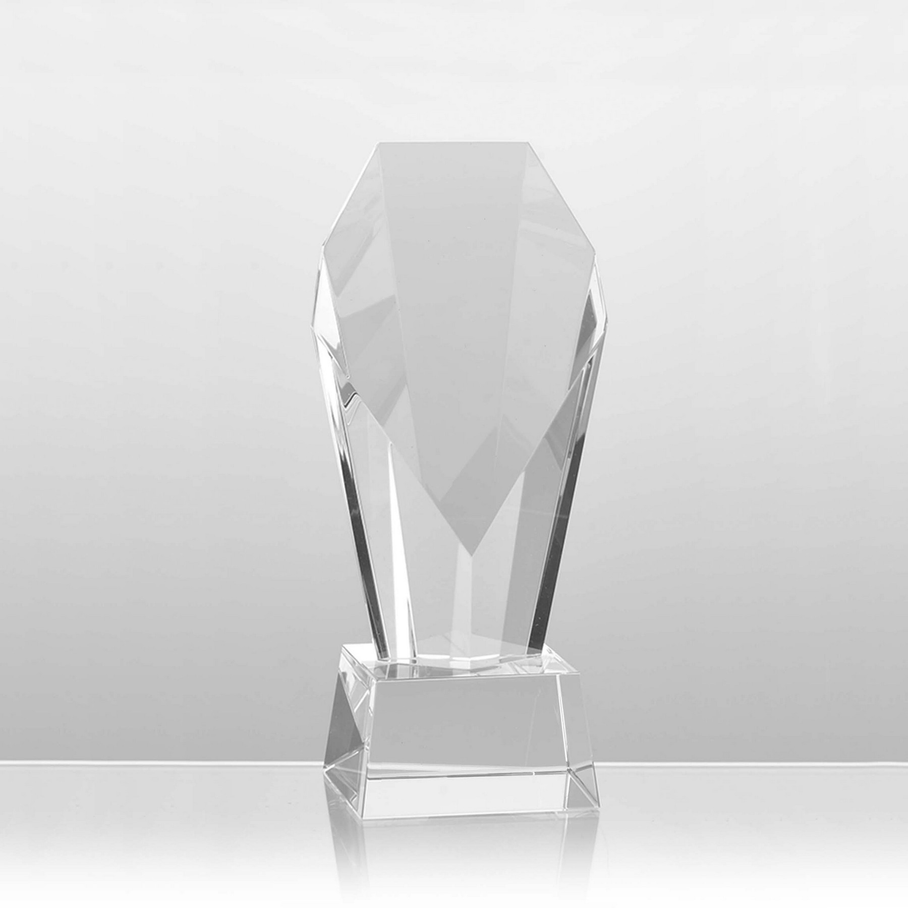 Picture of Aficionado Award
