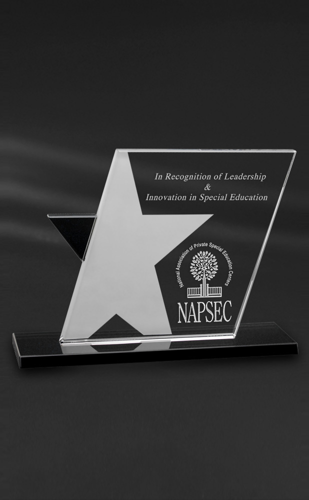 Picture of Ebony Star Optical Crystal Award