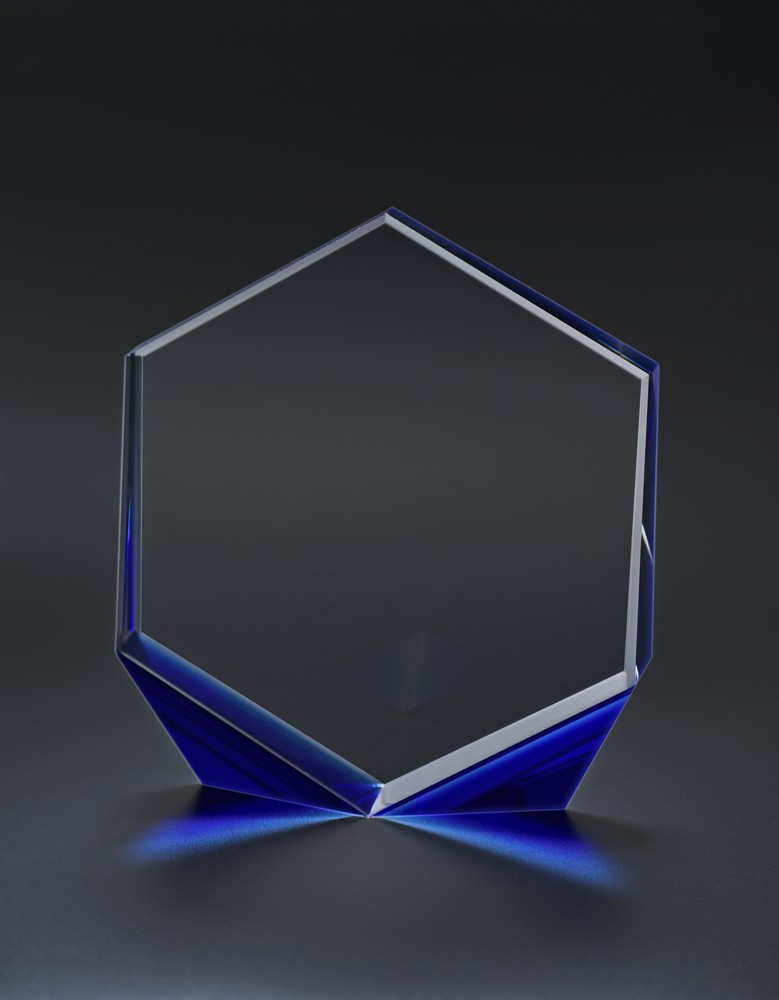 Picture of Omni Award