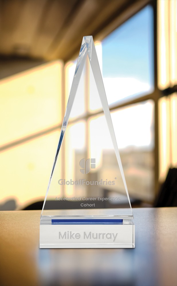 Picture of Guardian Award