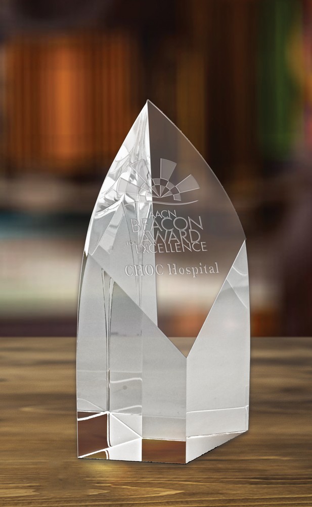 Picture of Aspire Award