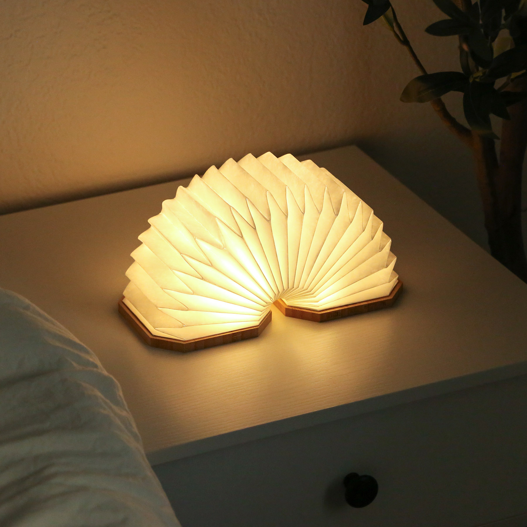 Picture of Accordio Light