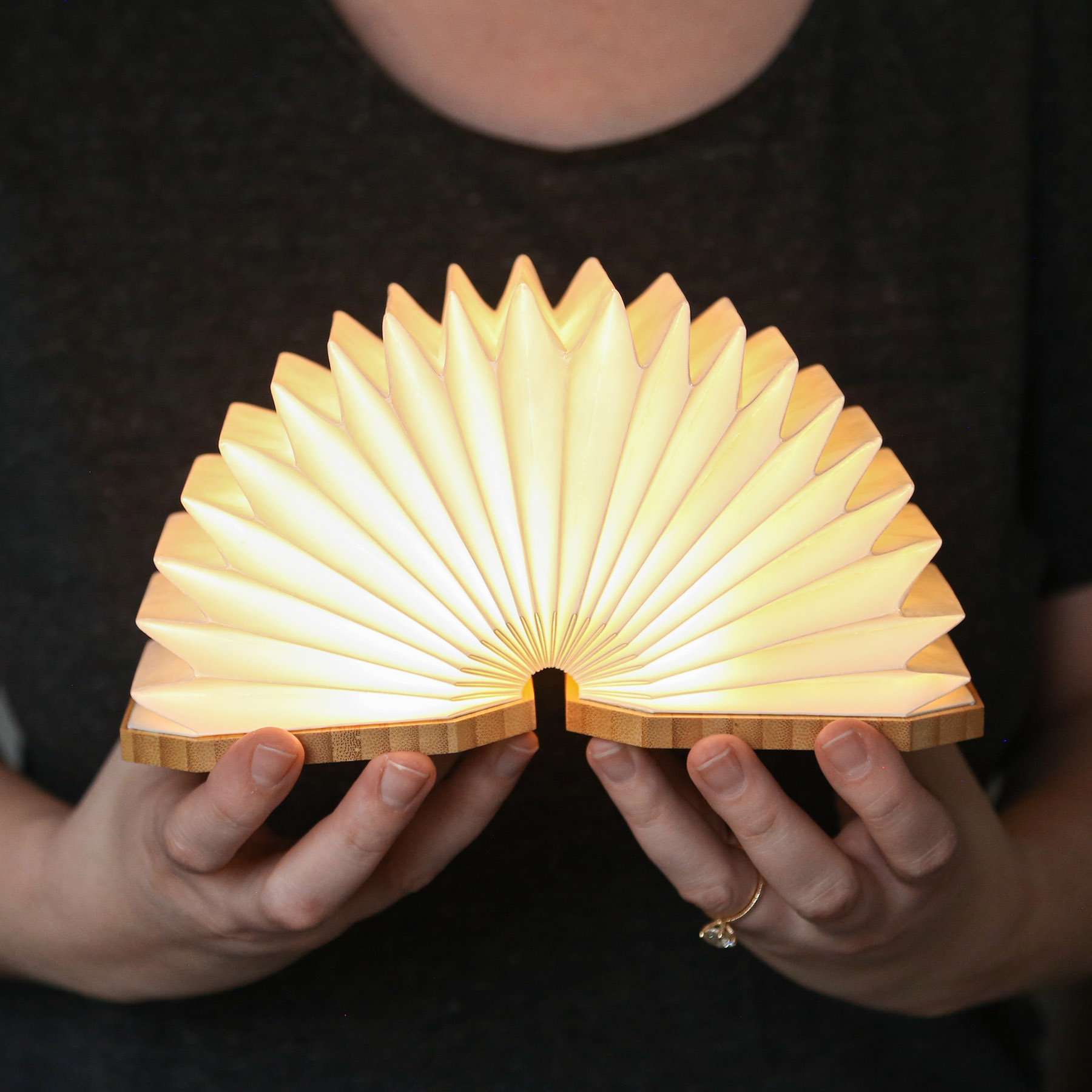 Picture of Accordio Light