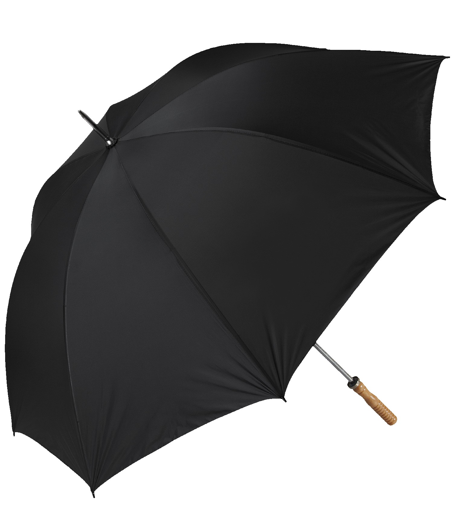 Picture of The Booster Umbrella
