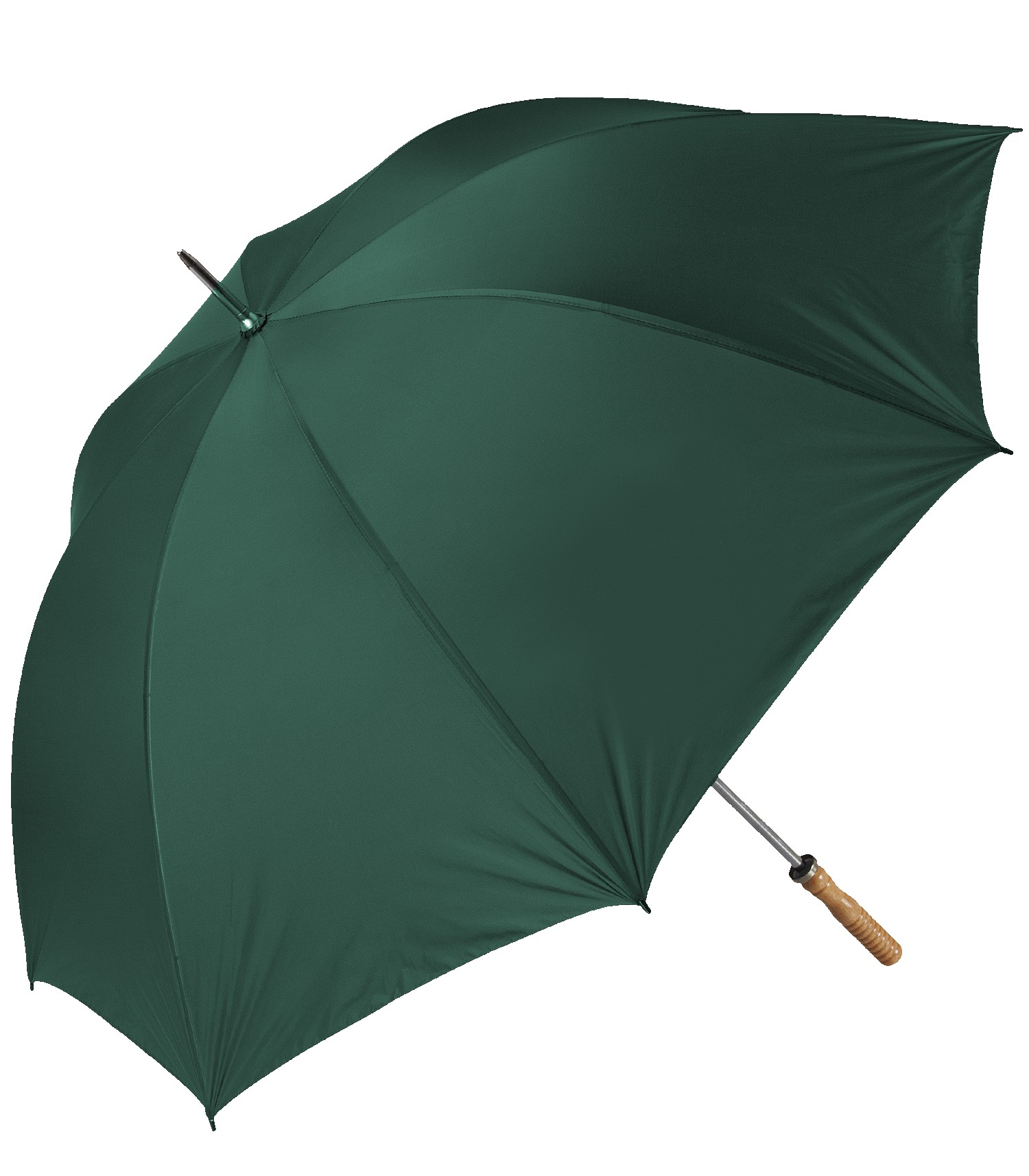 Picture of The Booster Umbrella