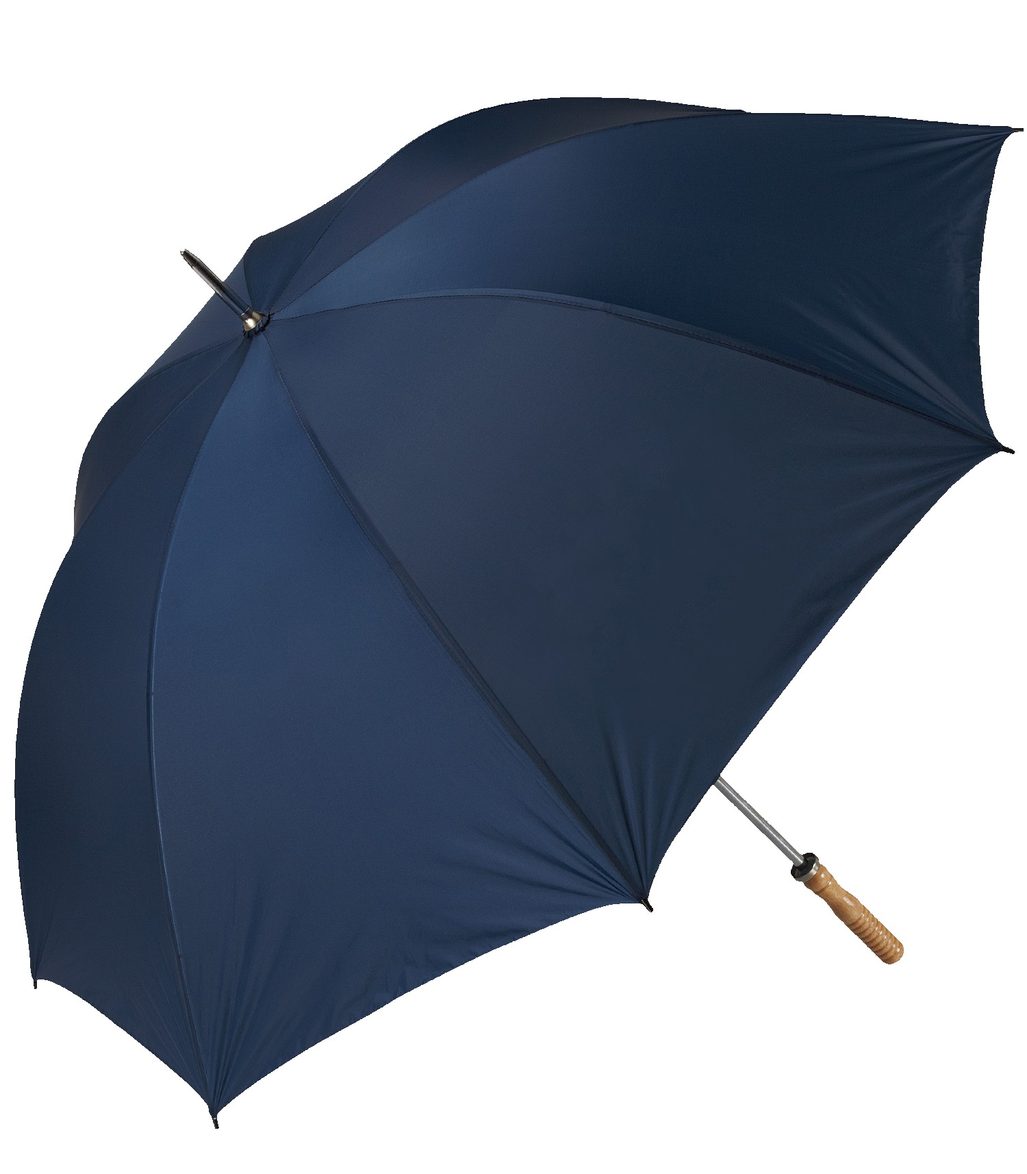 Picture of The Booster Umbrella