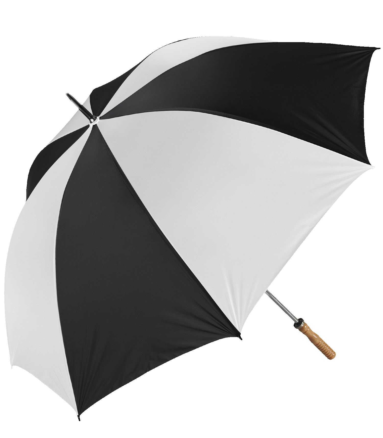 Picture of The Booster Umbrella