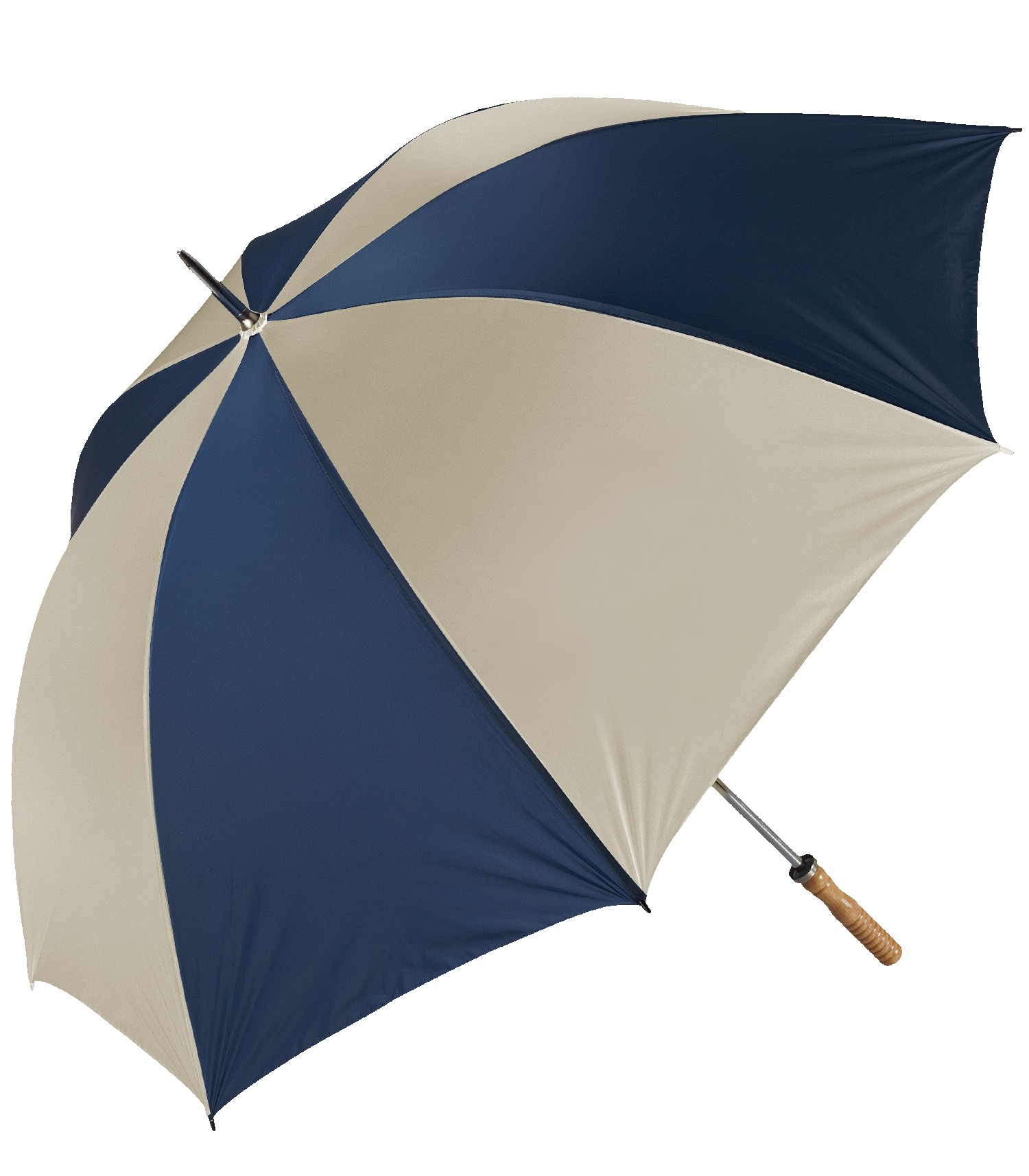 Picture of The Booster Umbrella