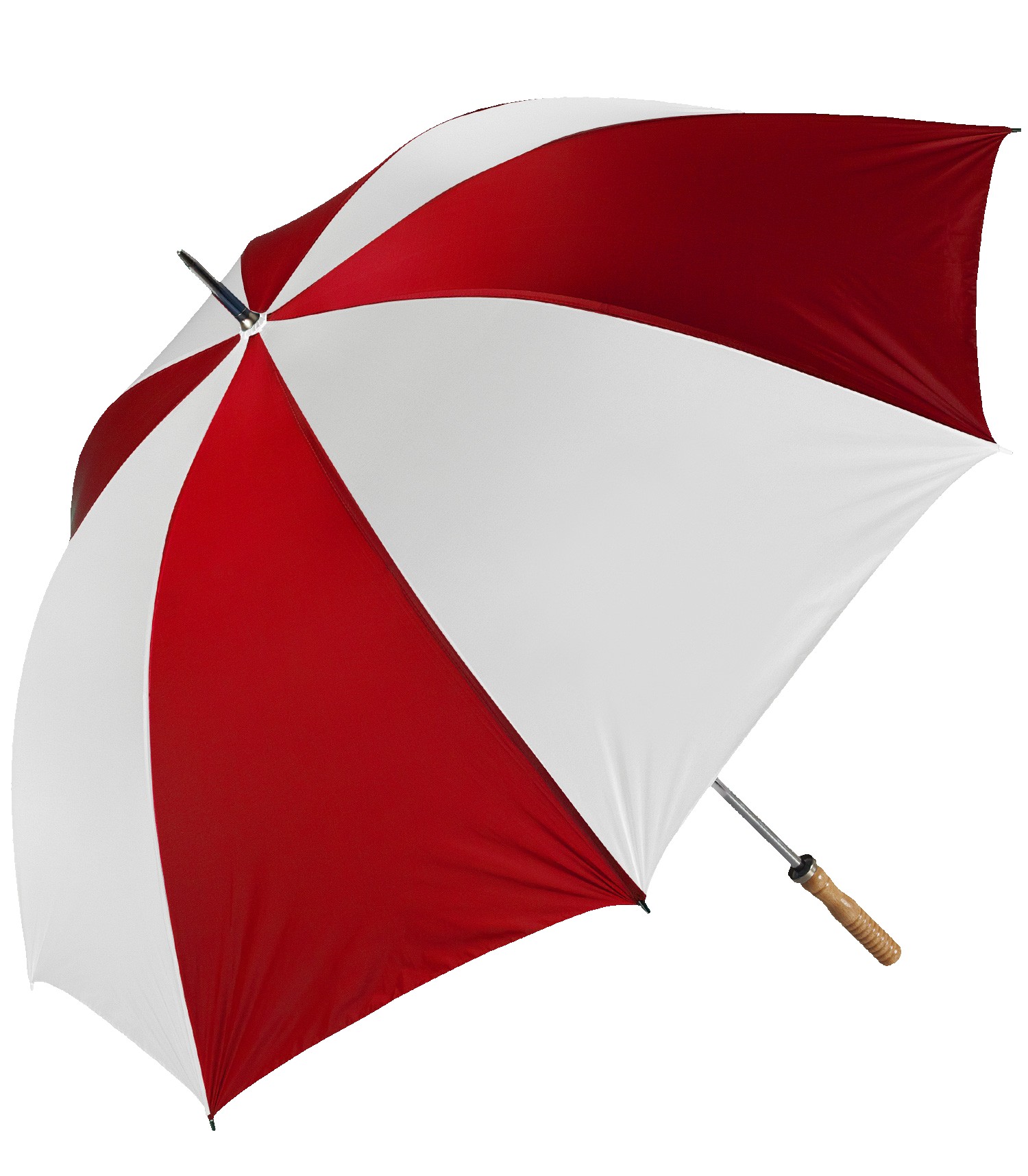 Picture of The Booster Umbrella