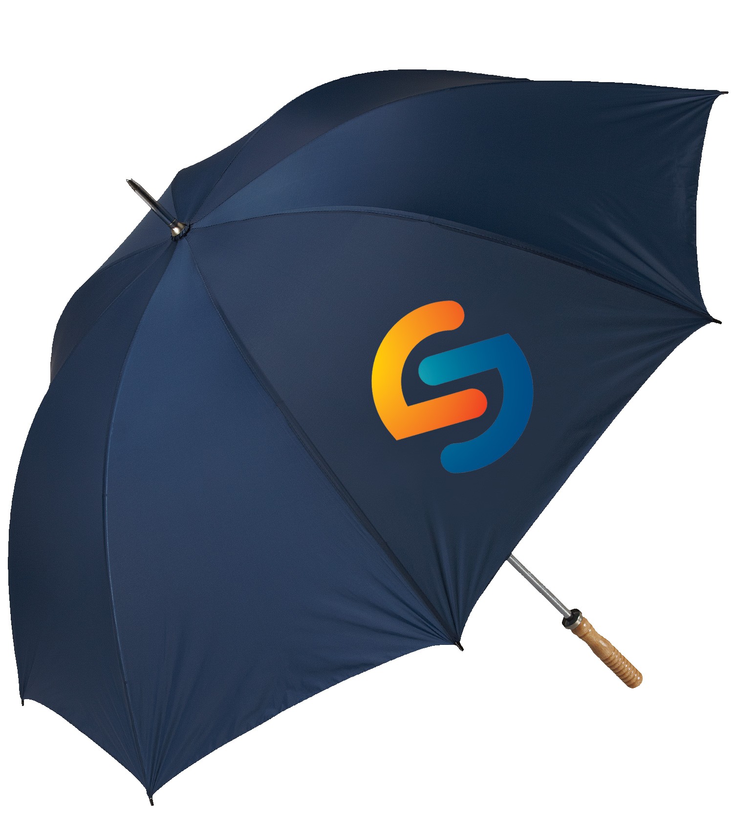 Picture of The Booster Umbrella