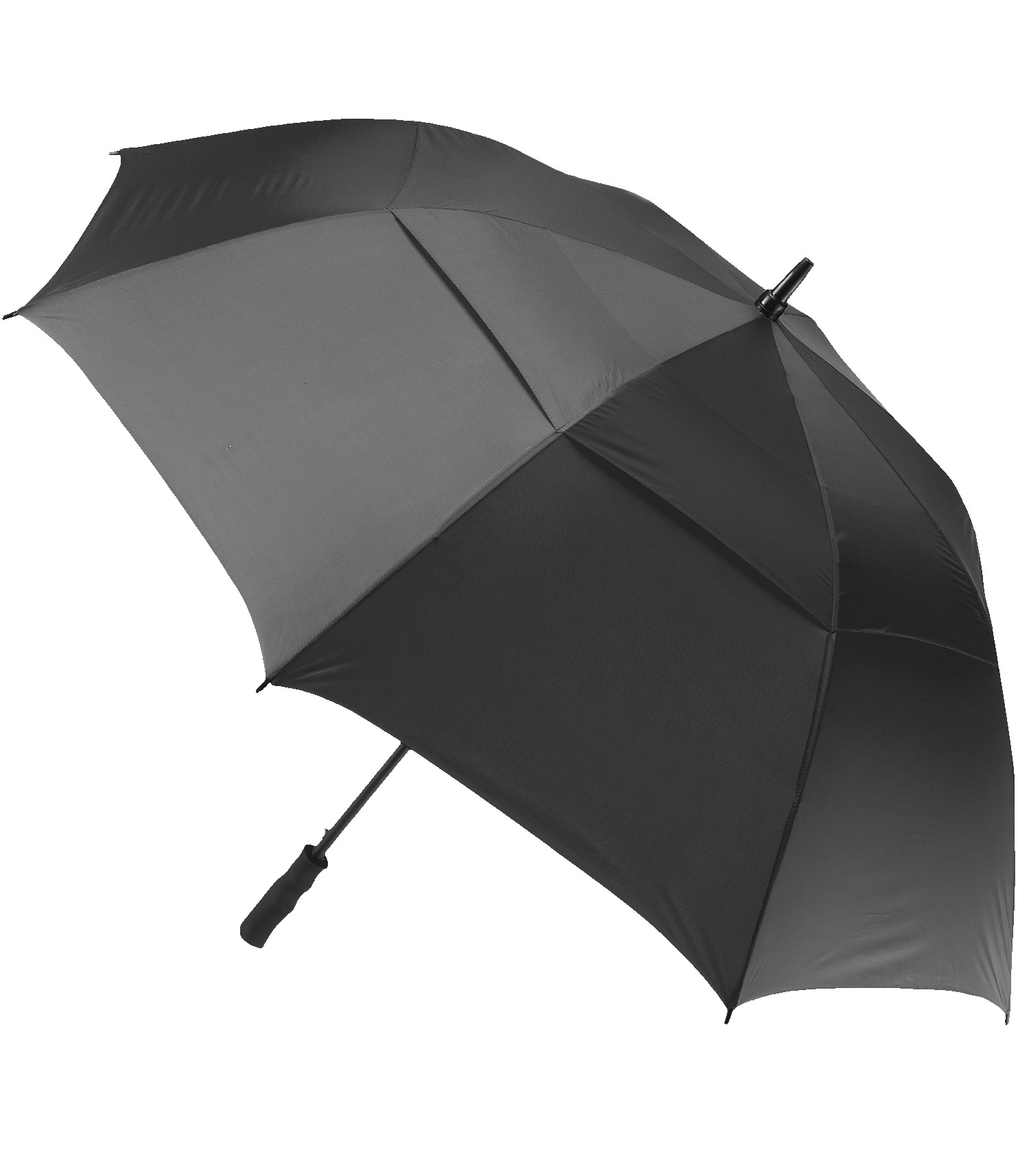 Picture of The Open Umbrella