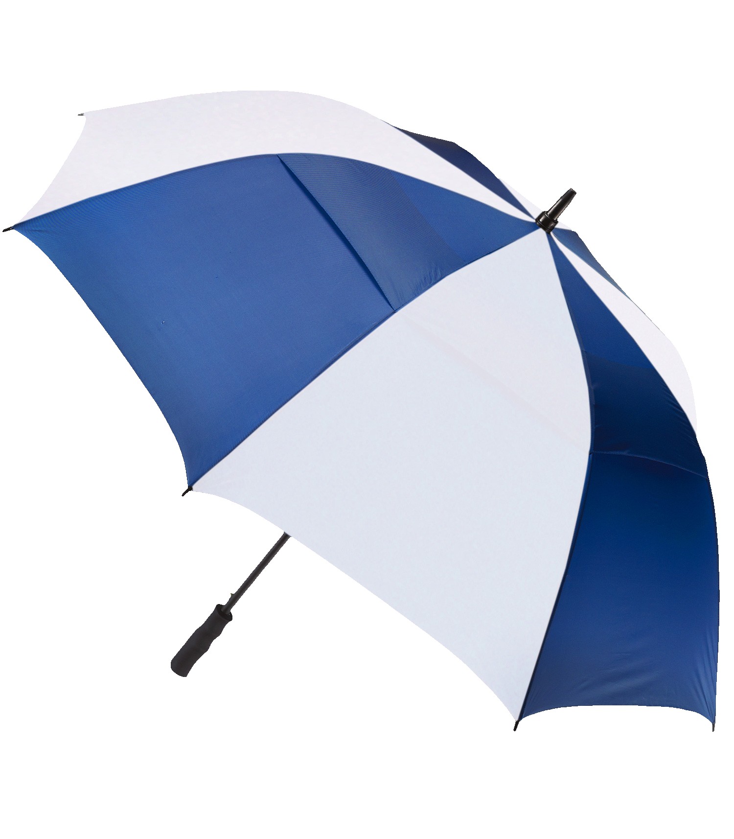 Picture of The Open Umbrella