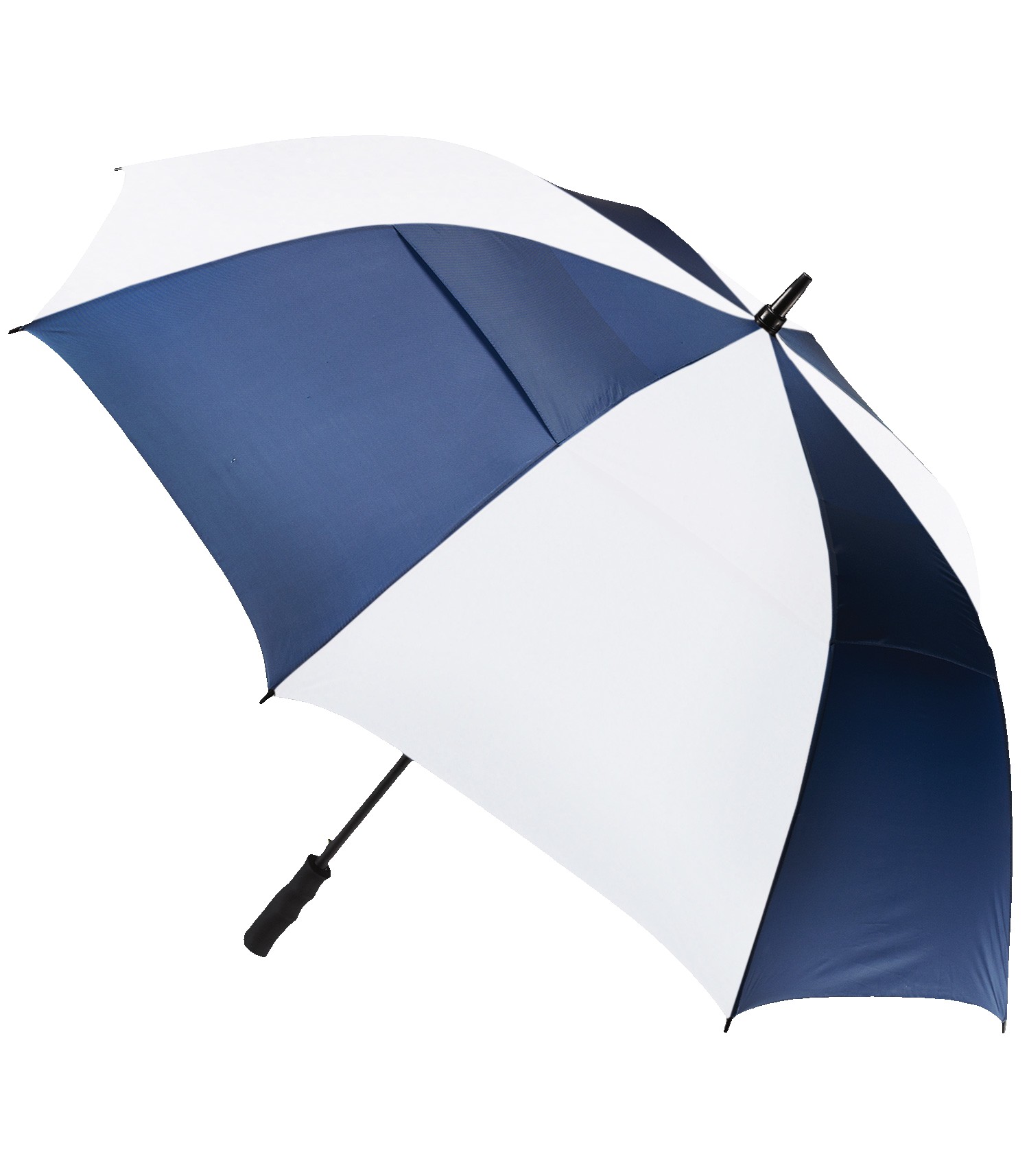 Picture of The Open Umbrella