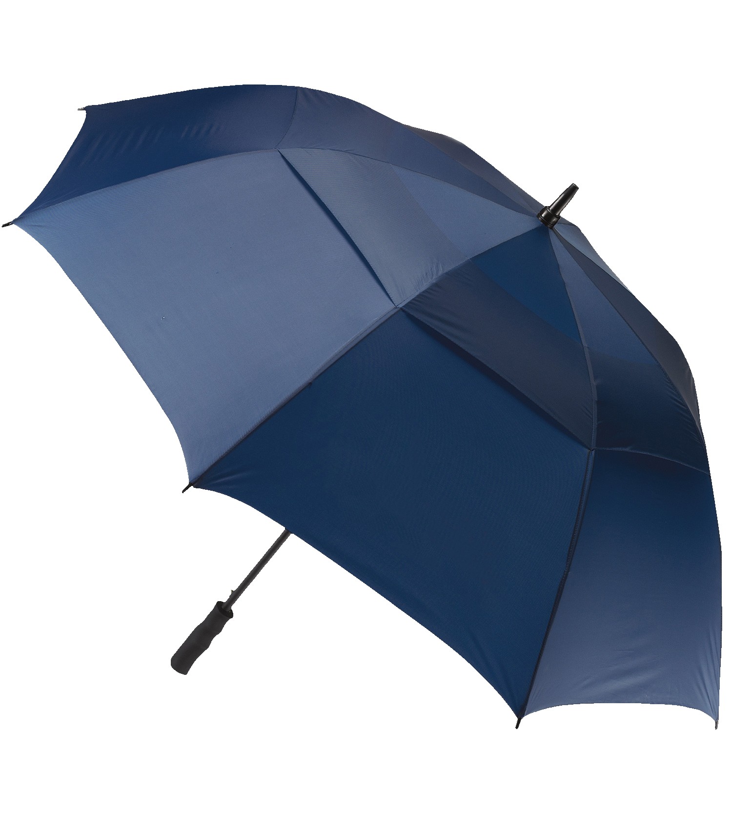 Picture of The Open Umbrella