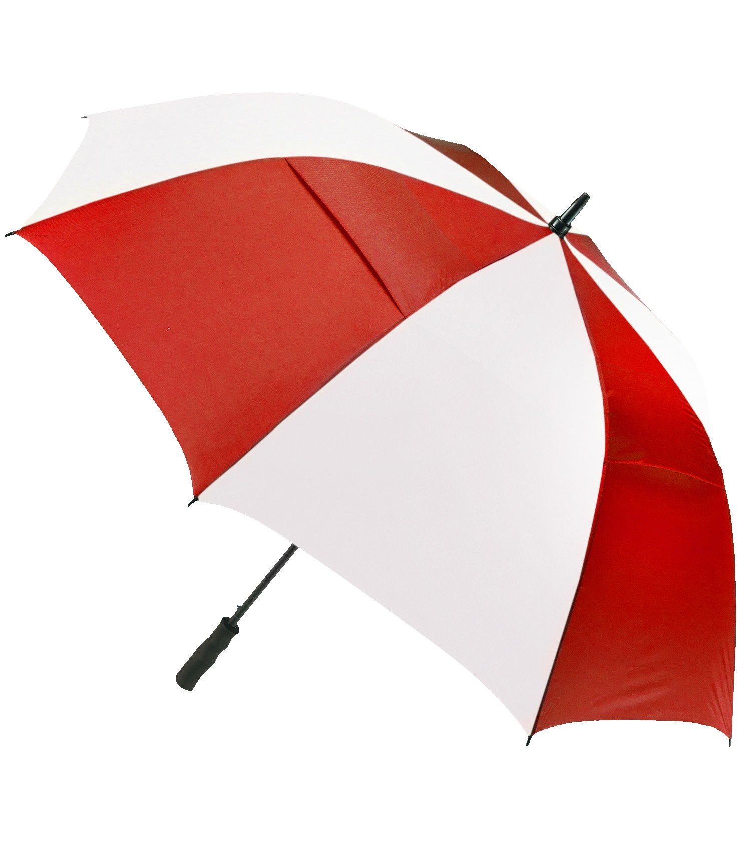 Picture of The Open Umbrella
