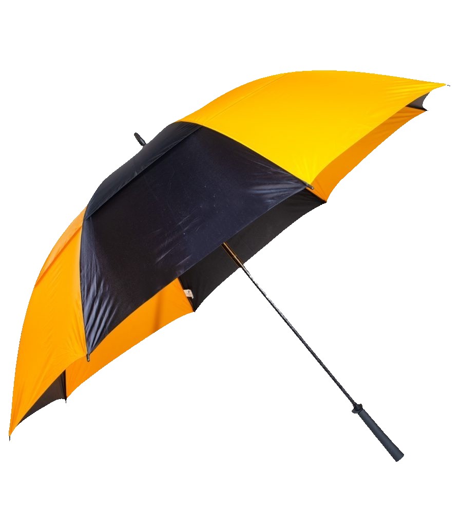 Picture of The Eagle Umbrella